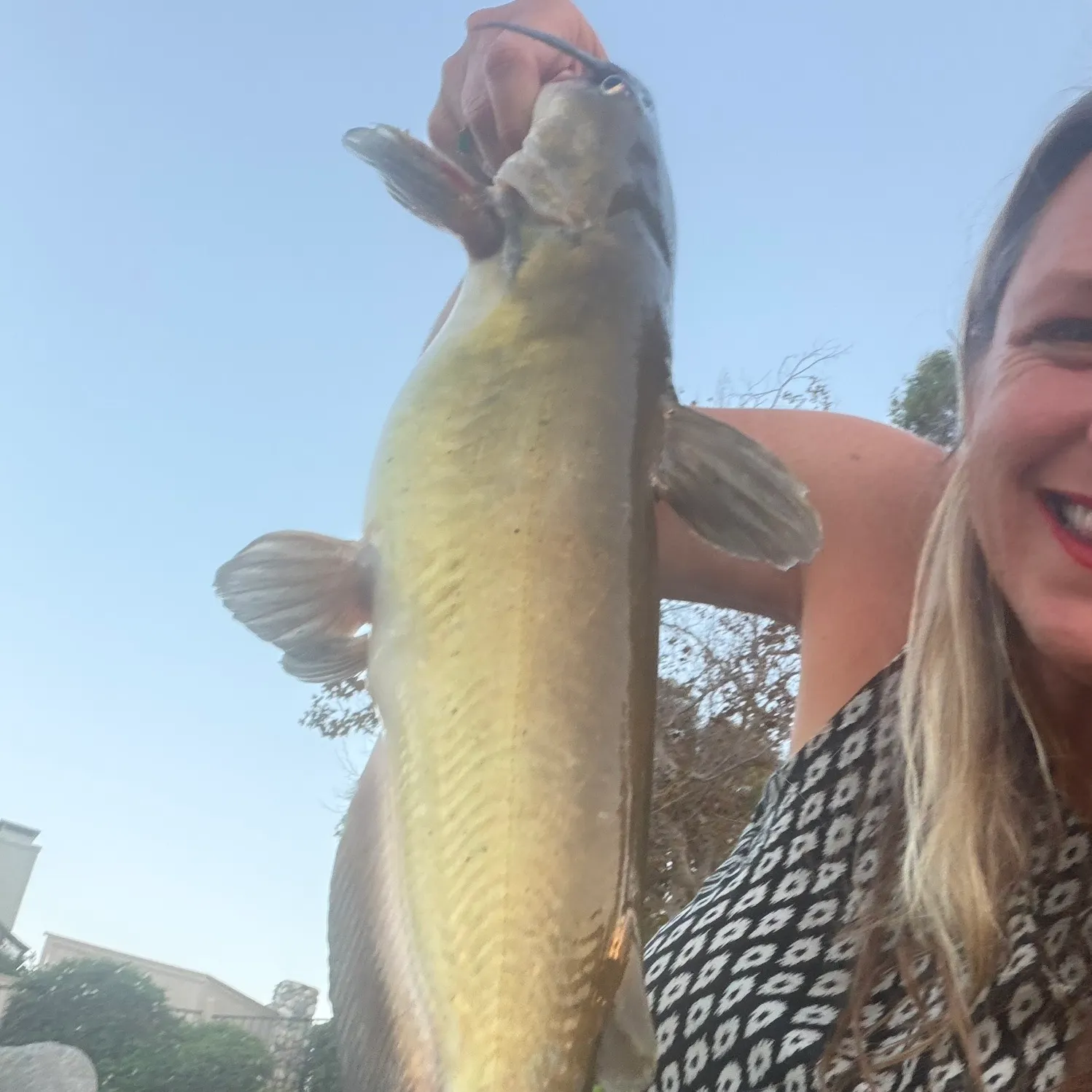 Channel catfish caught on Fishbrain