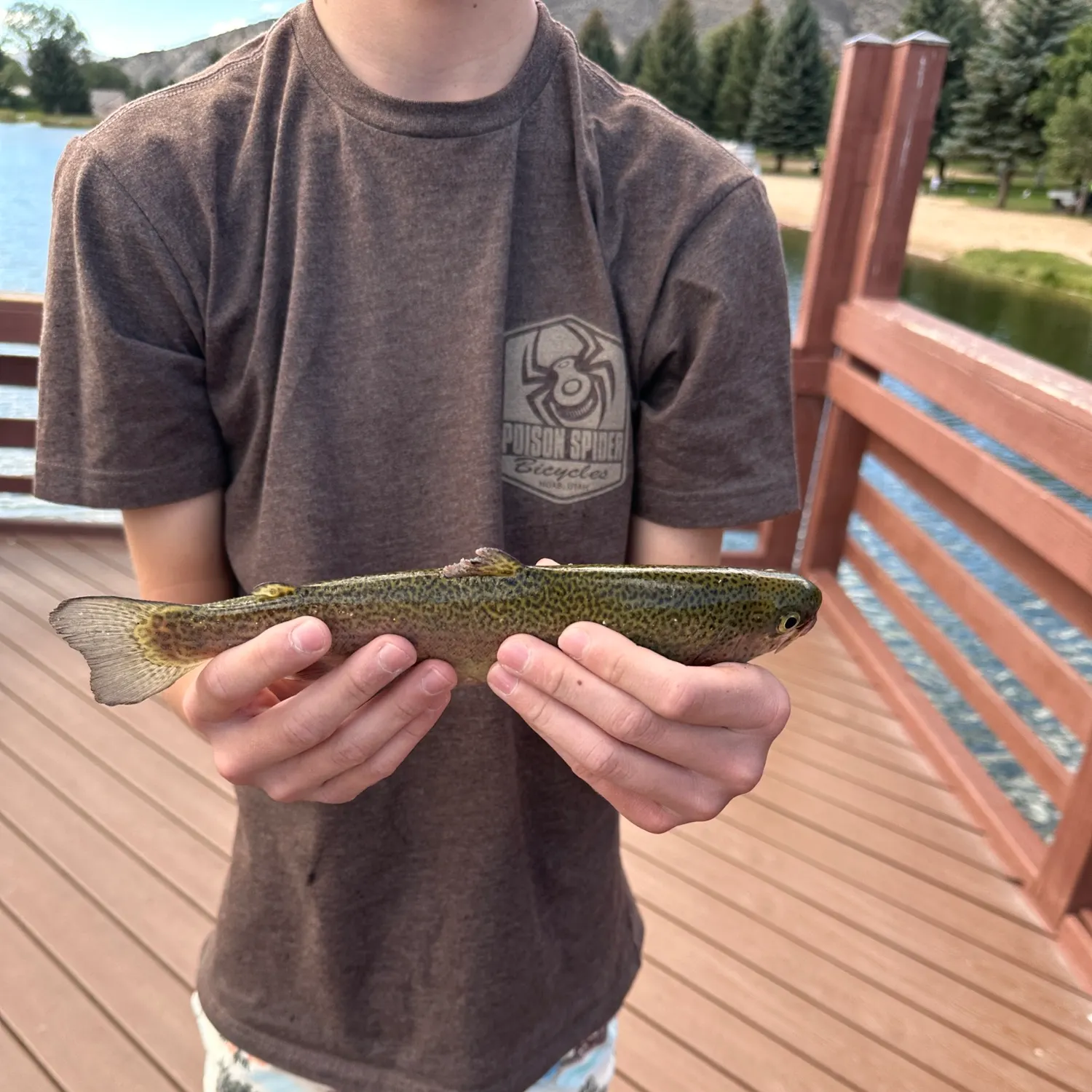 Rainbow trout caught on Fishbrain
