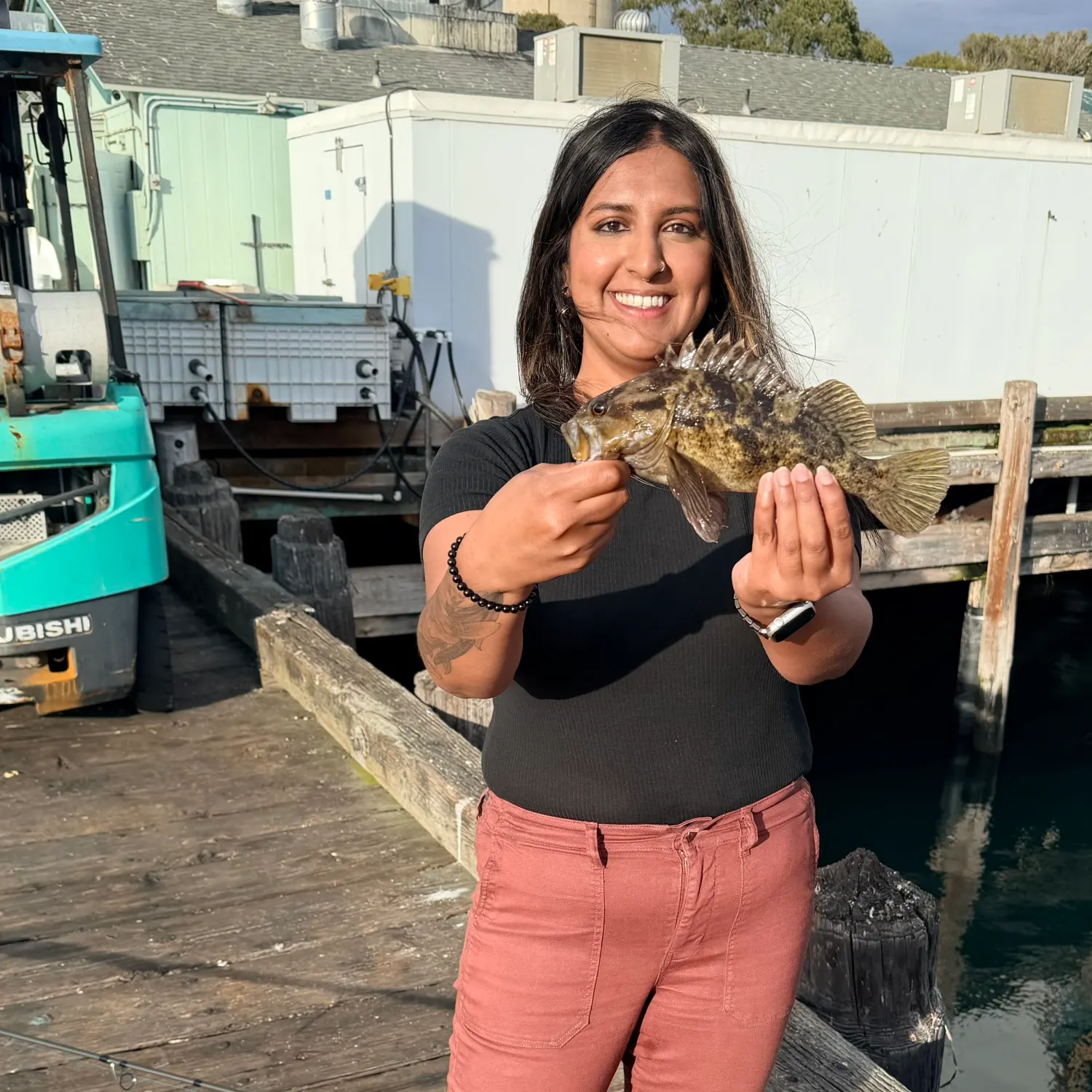 The most recent Grass rockfish catches on Fishbrain