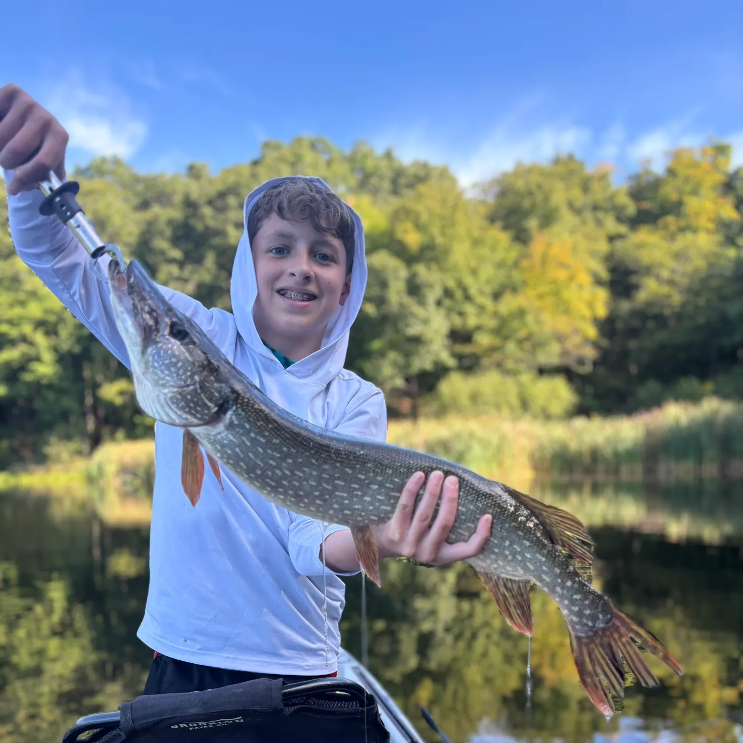Northern pike caught on Fishbrain