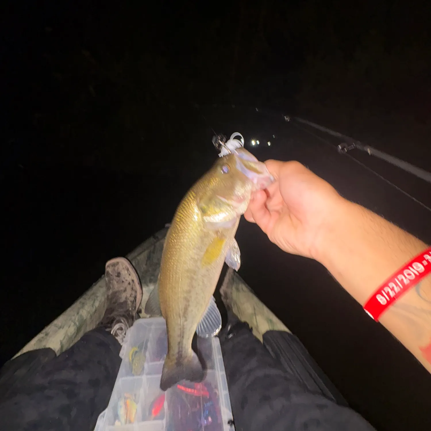 Largemouth bass caught on Fishbrain