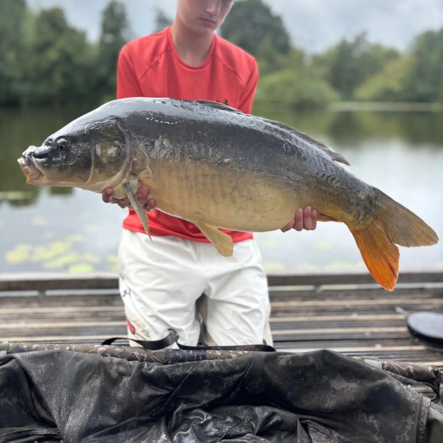 Mirror carp caught on Fishbrain