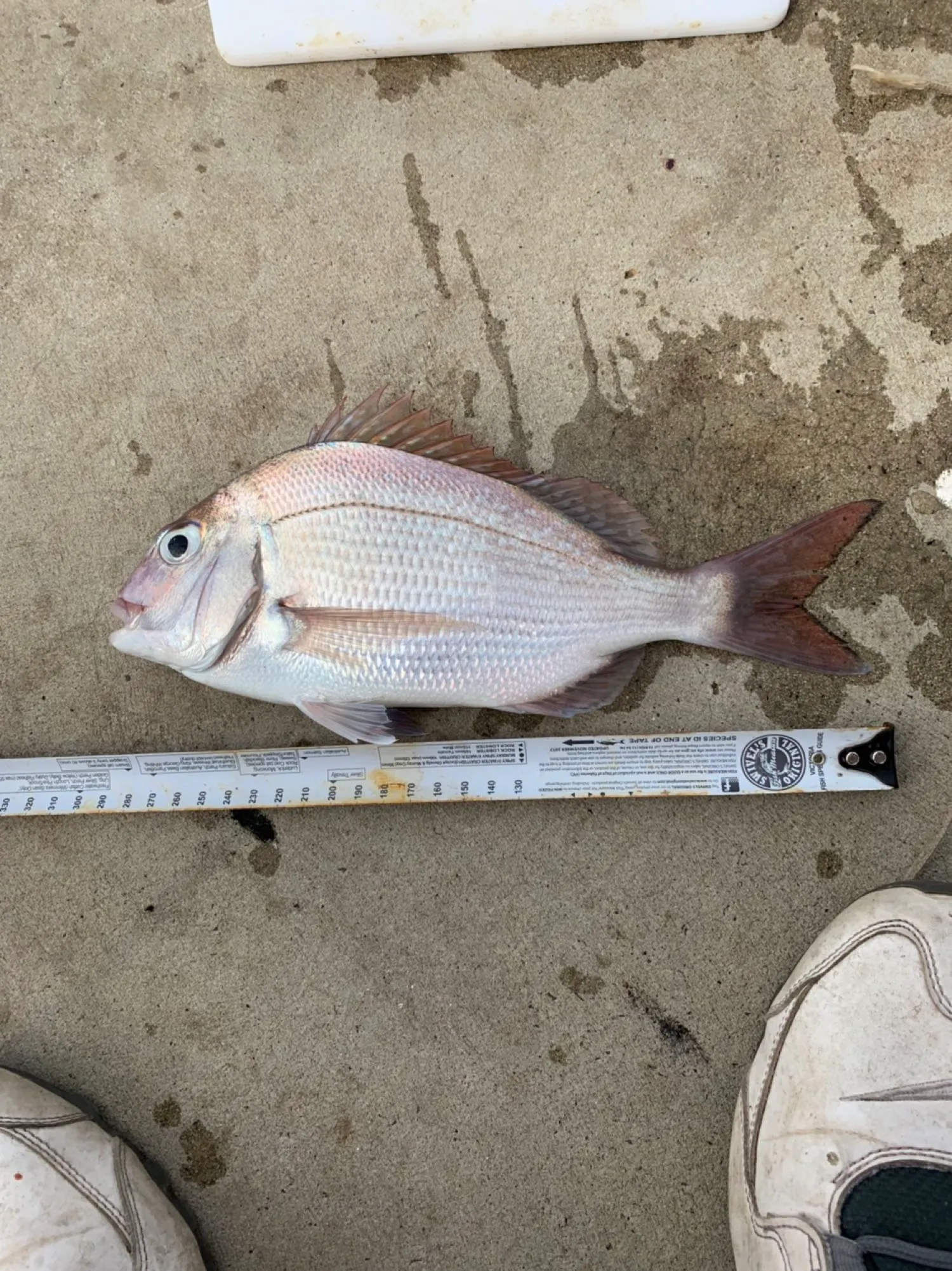 Post image from ayildirim1984