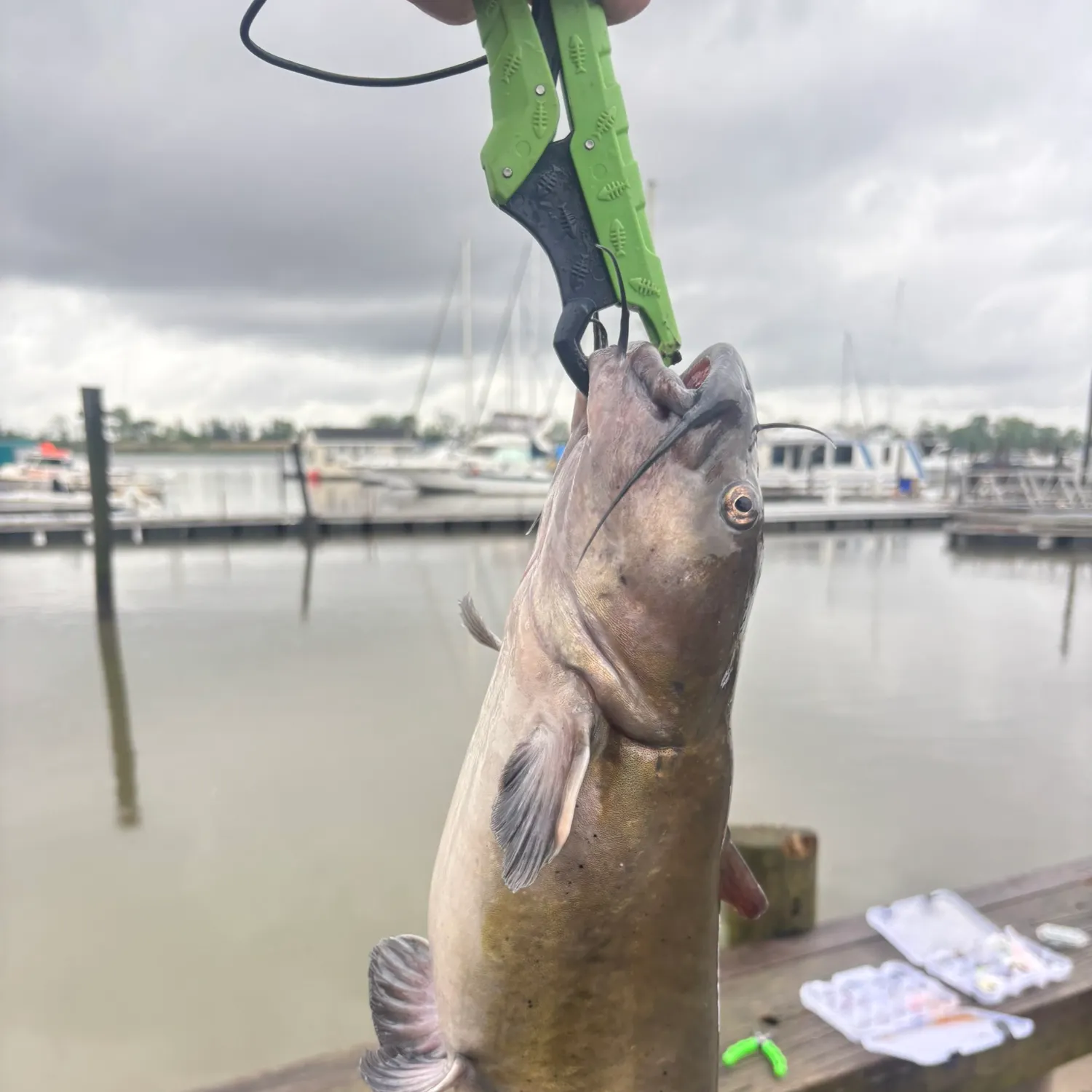 catch