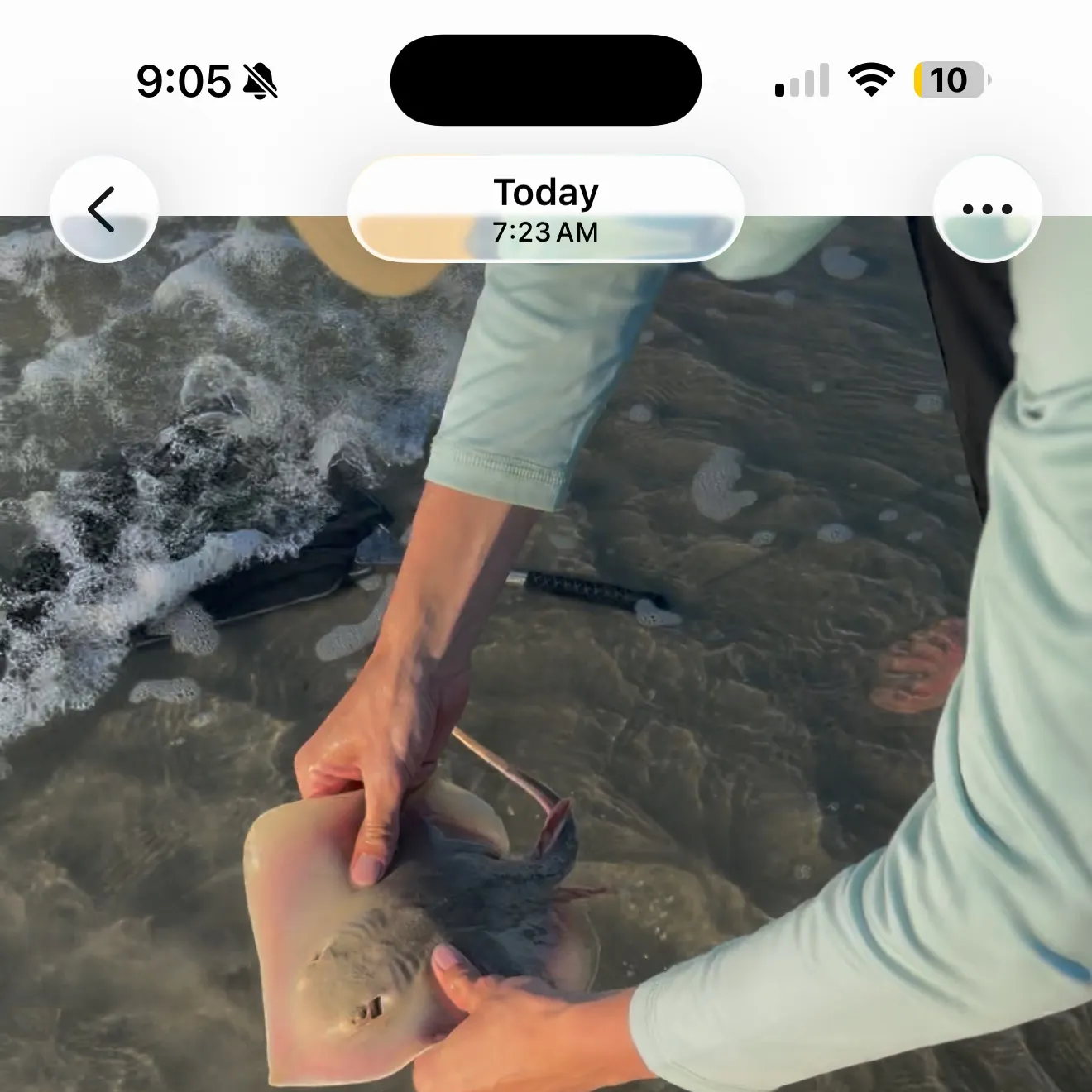 The most recent Starry ray catches on Fishbrain