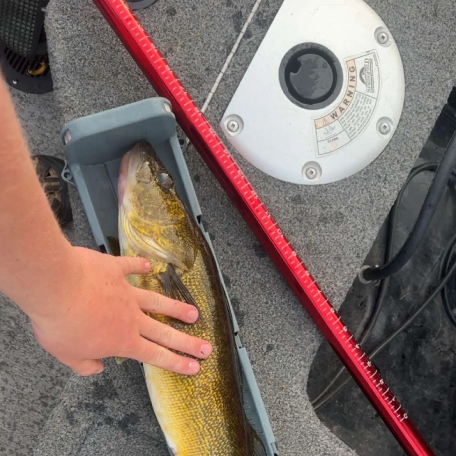 The most recent Walleye catches on Fishbrain