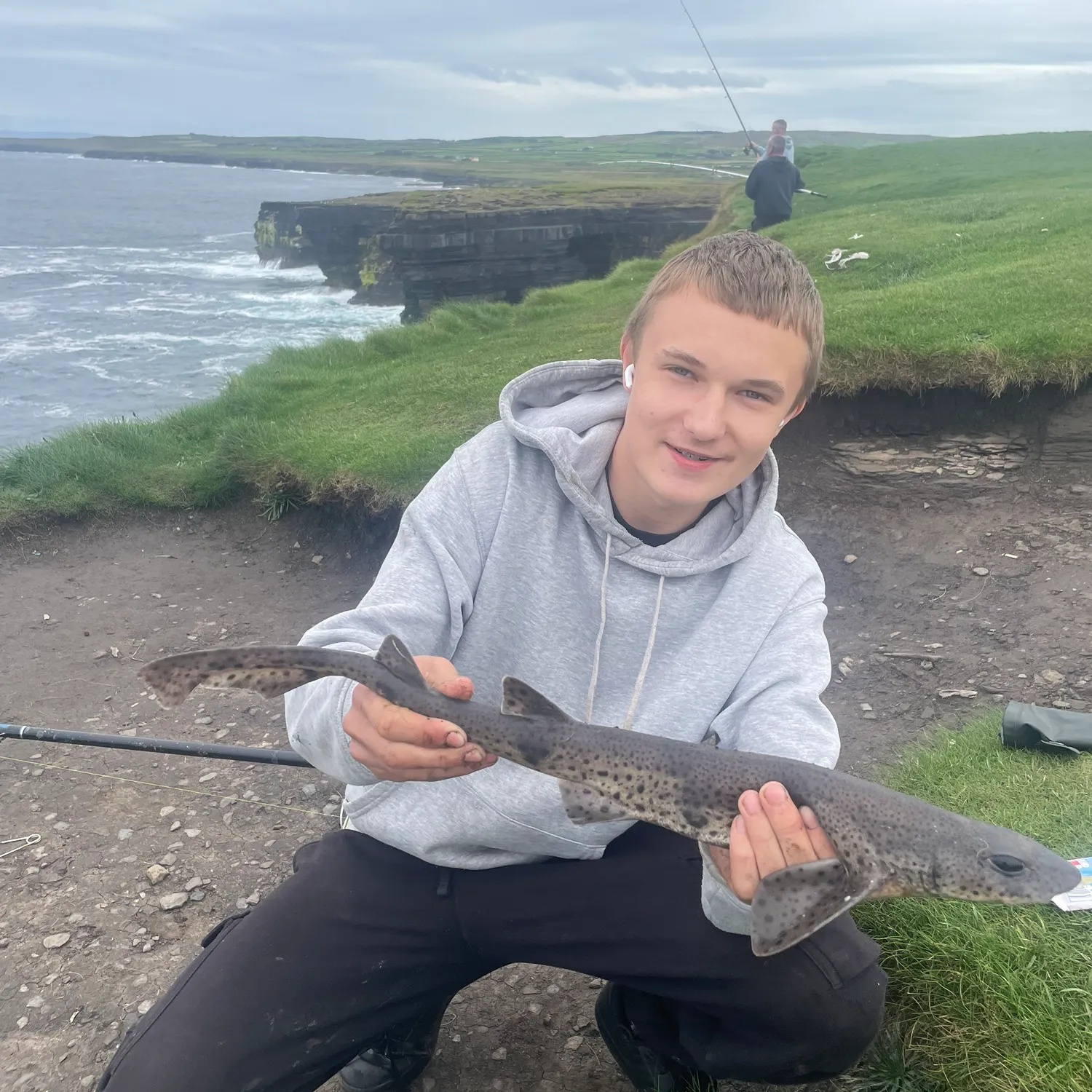 Lesser spotted dogfish caught on Fishbrain