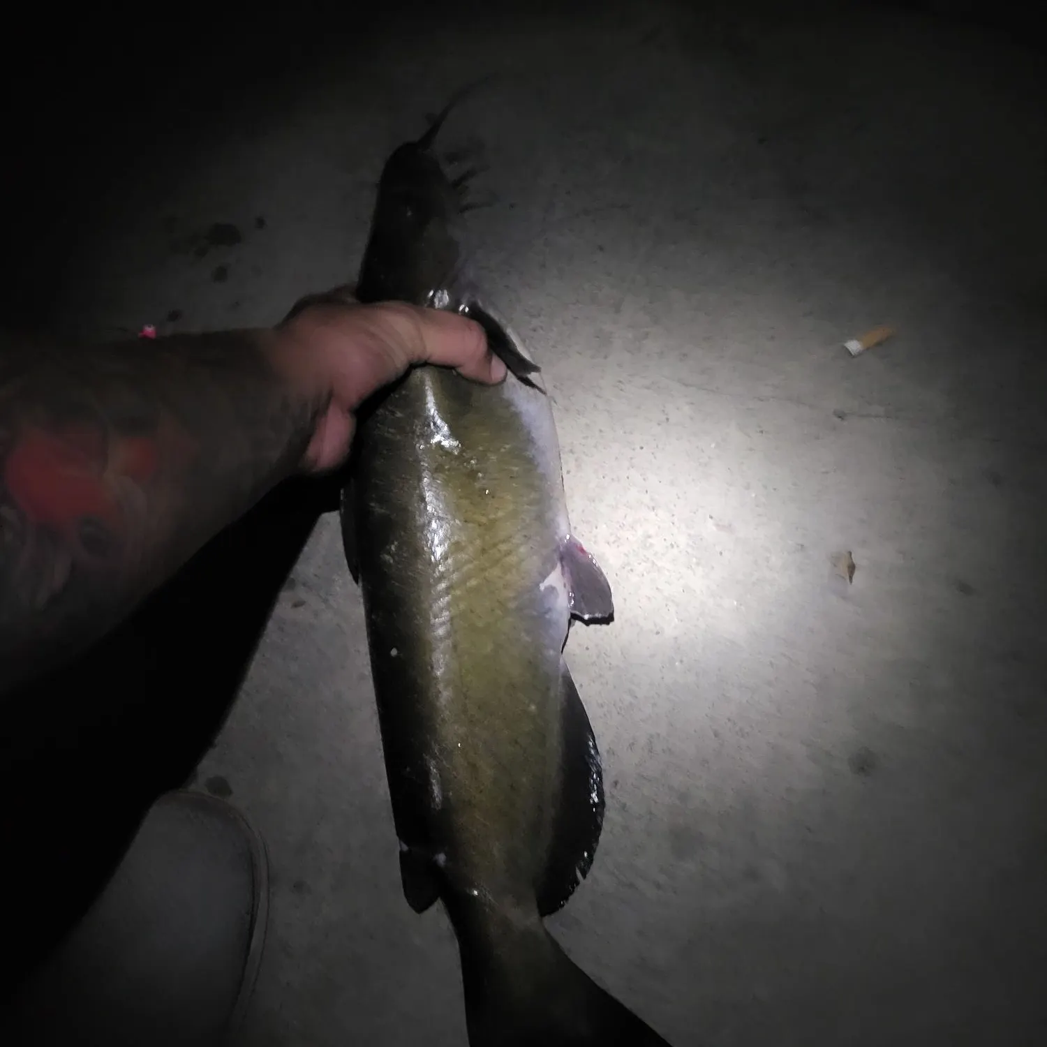catch