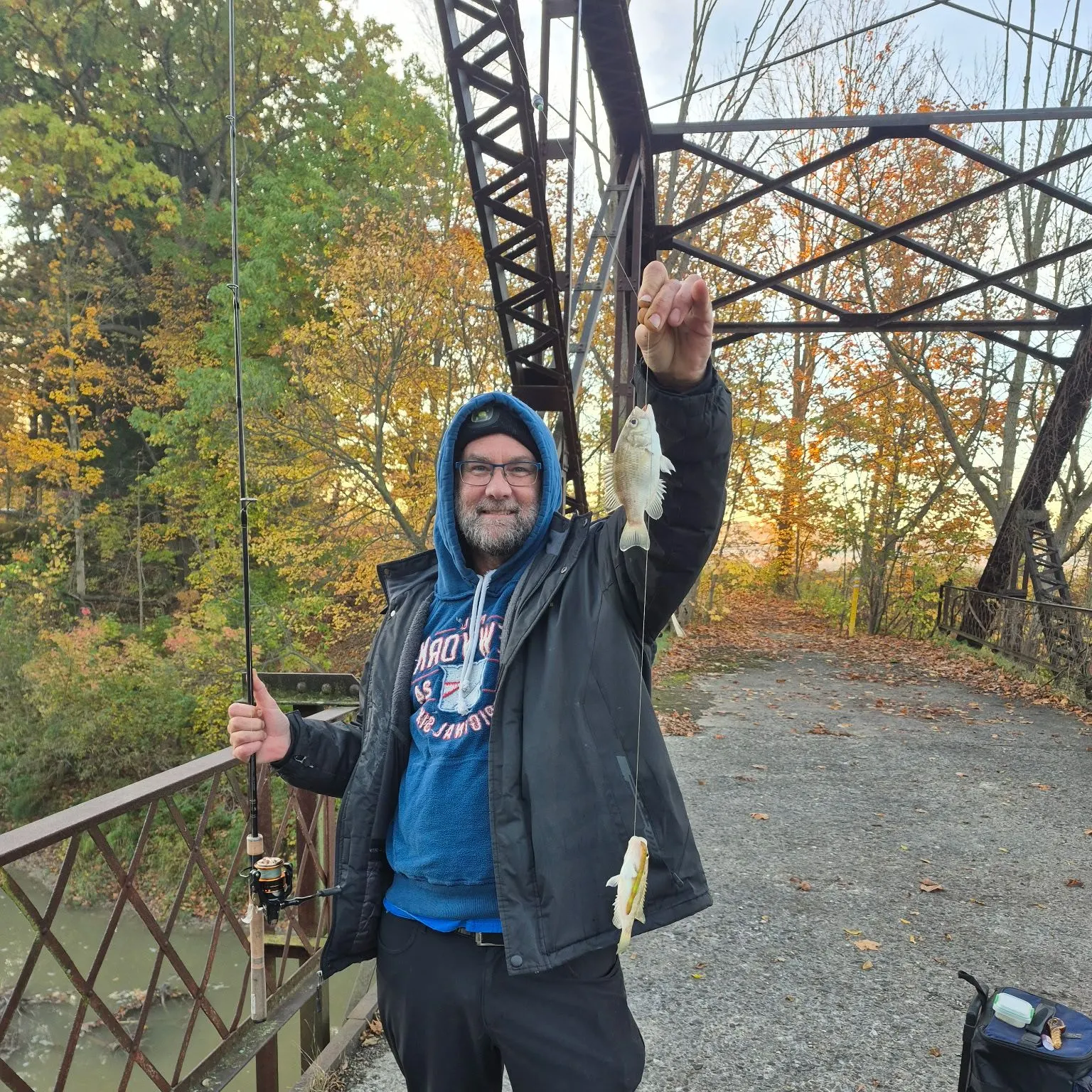 Rock bass caught on Fishbrain