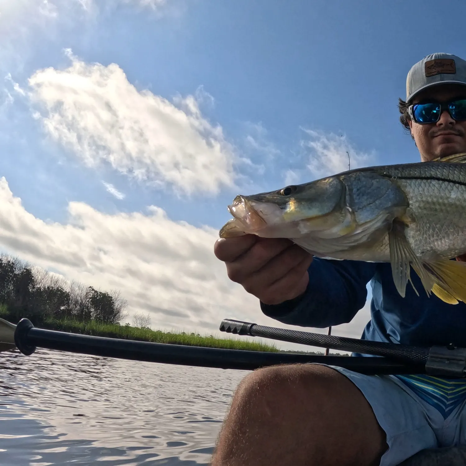 Common snook caught on Fishbrain