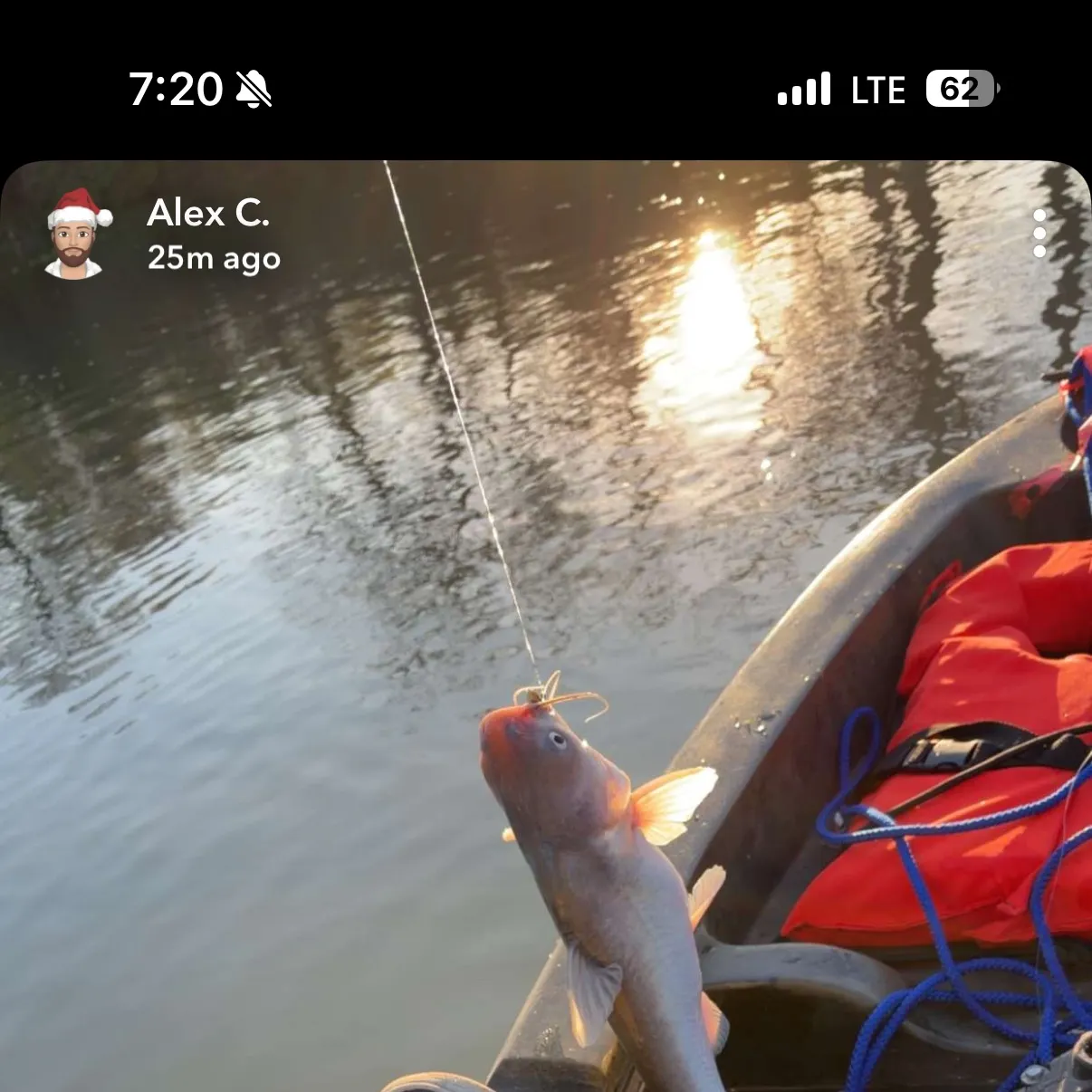 The most recent Blue catfish catches on Fishbrain