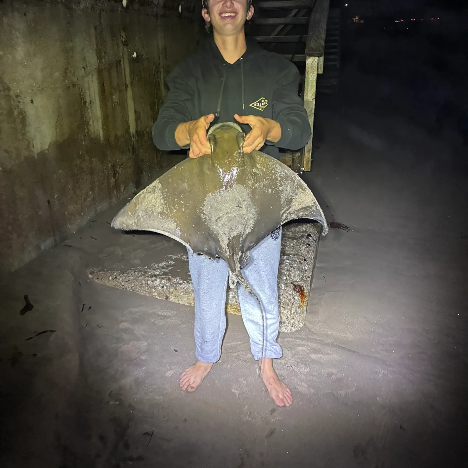 The most recent Bat eagle ray catches on Fishbrain