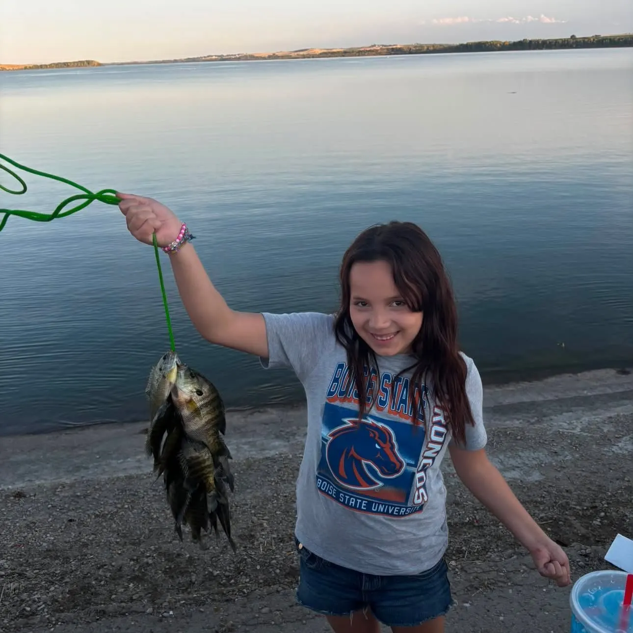 Fish caught on Fishbrain