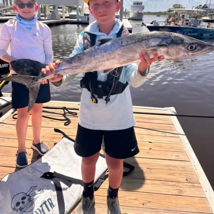 The most recent King mackerel catches on Fishbrain