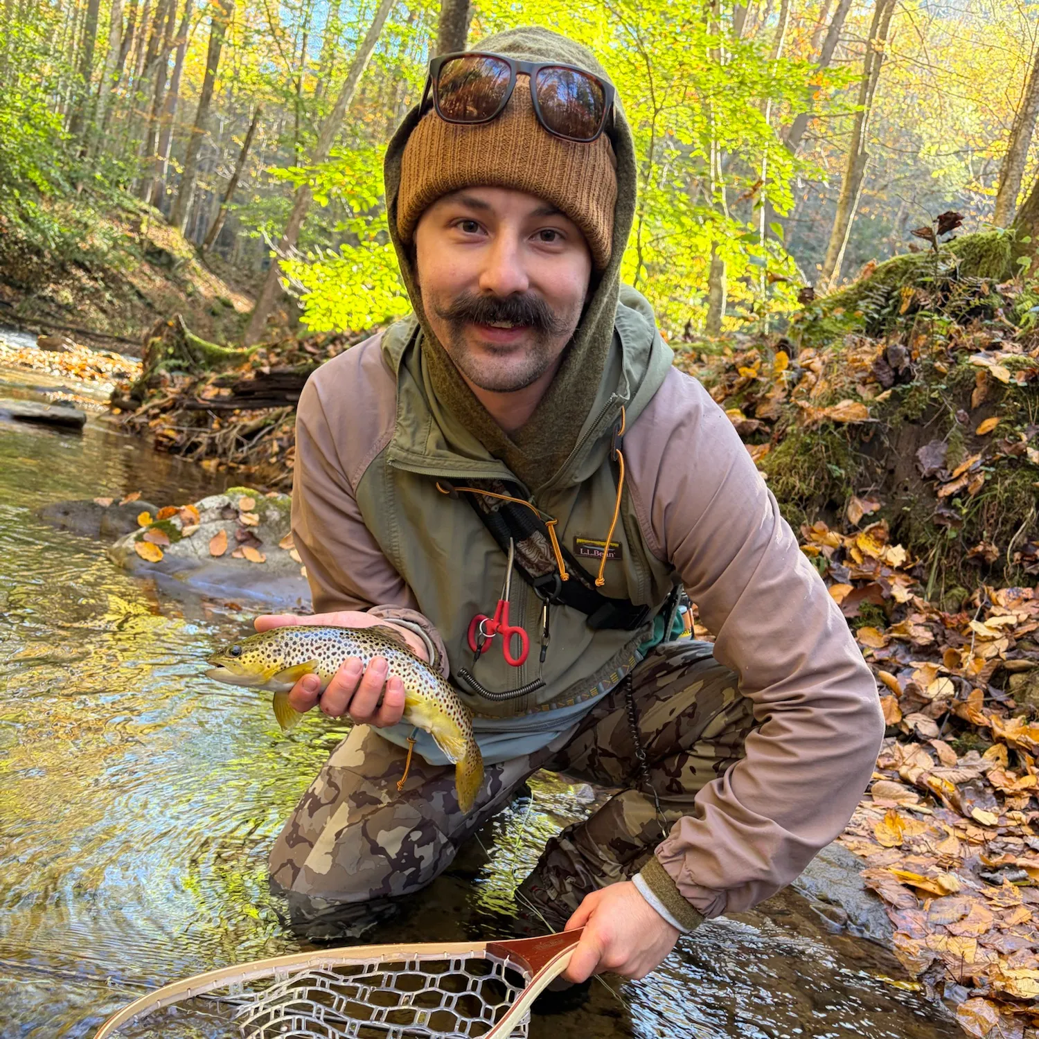 Brown trout caught on Fishbrain