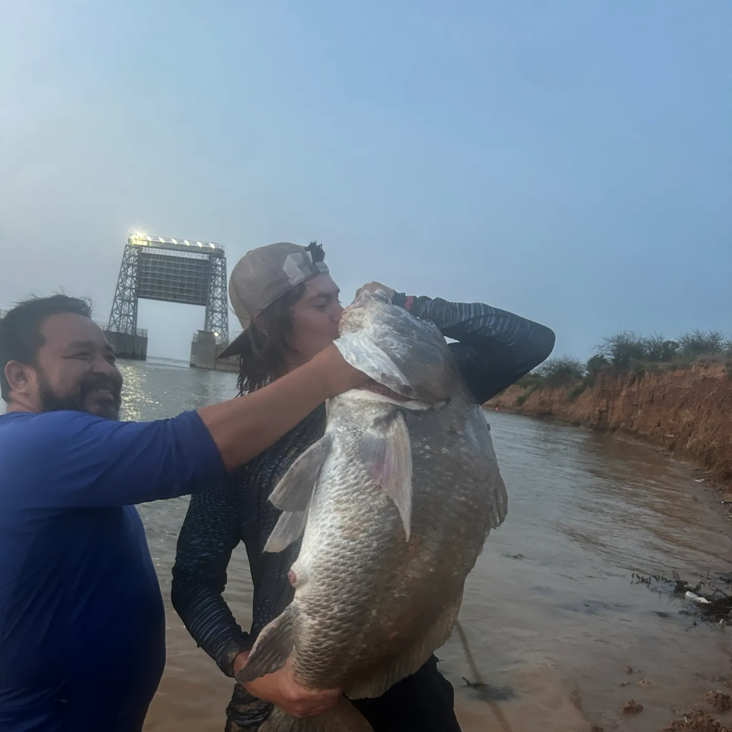 The most recent Black drum catches on Fishbrain