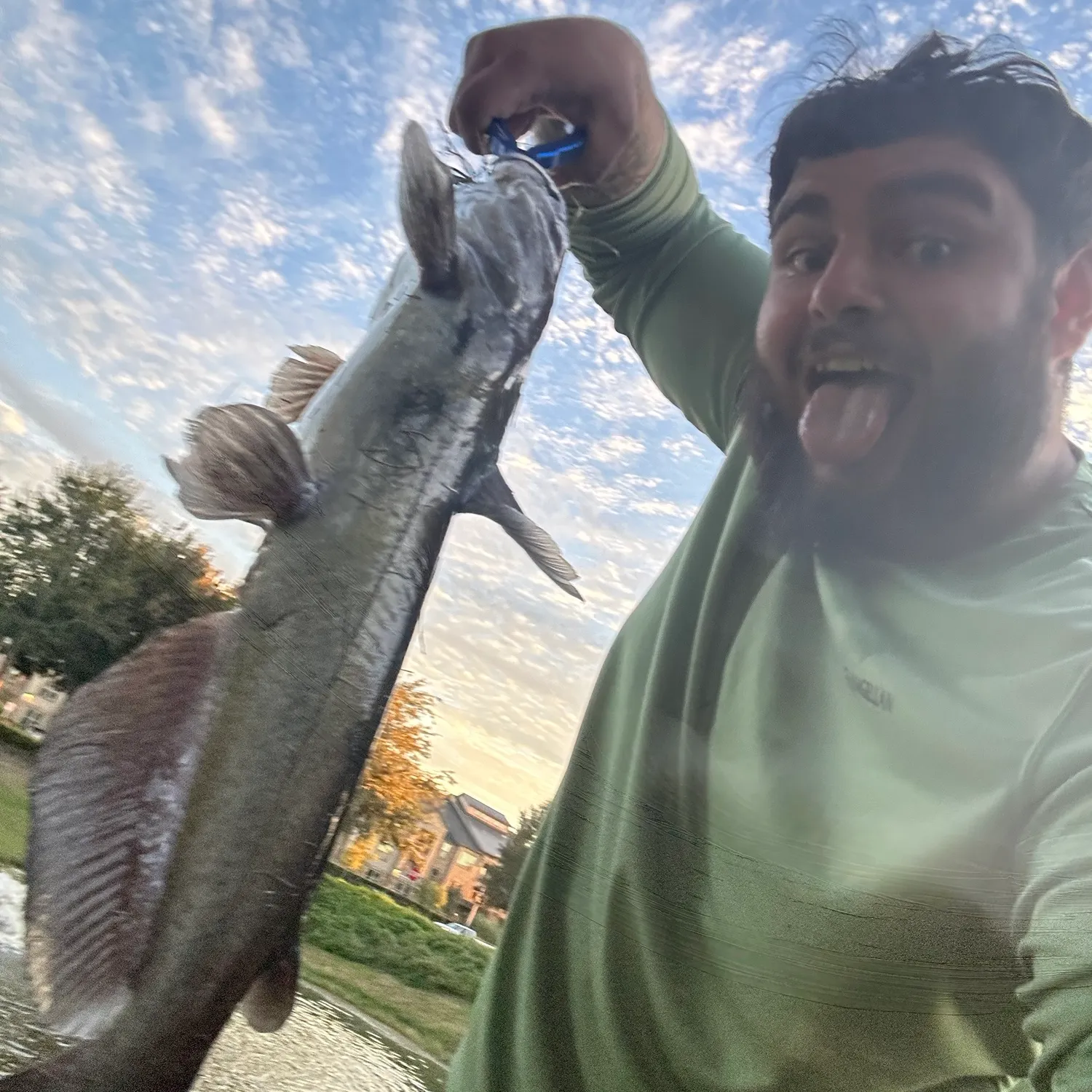 Channel catfish caught on Fishbrain