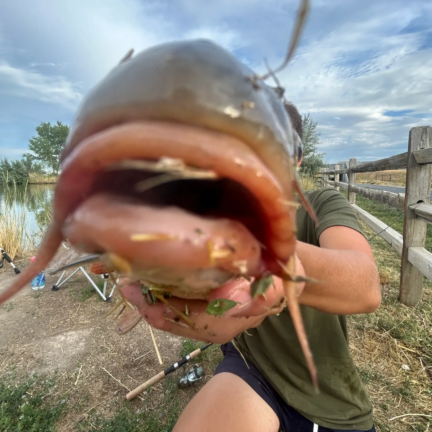 catch
