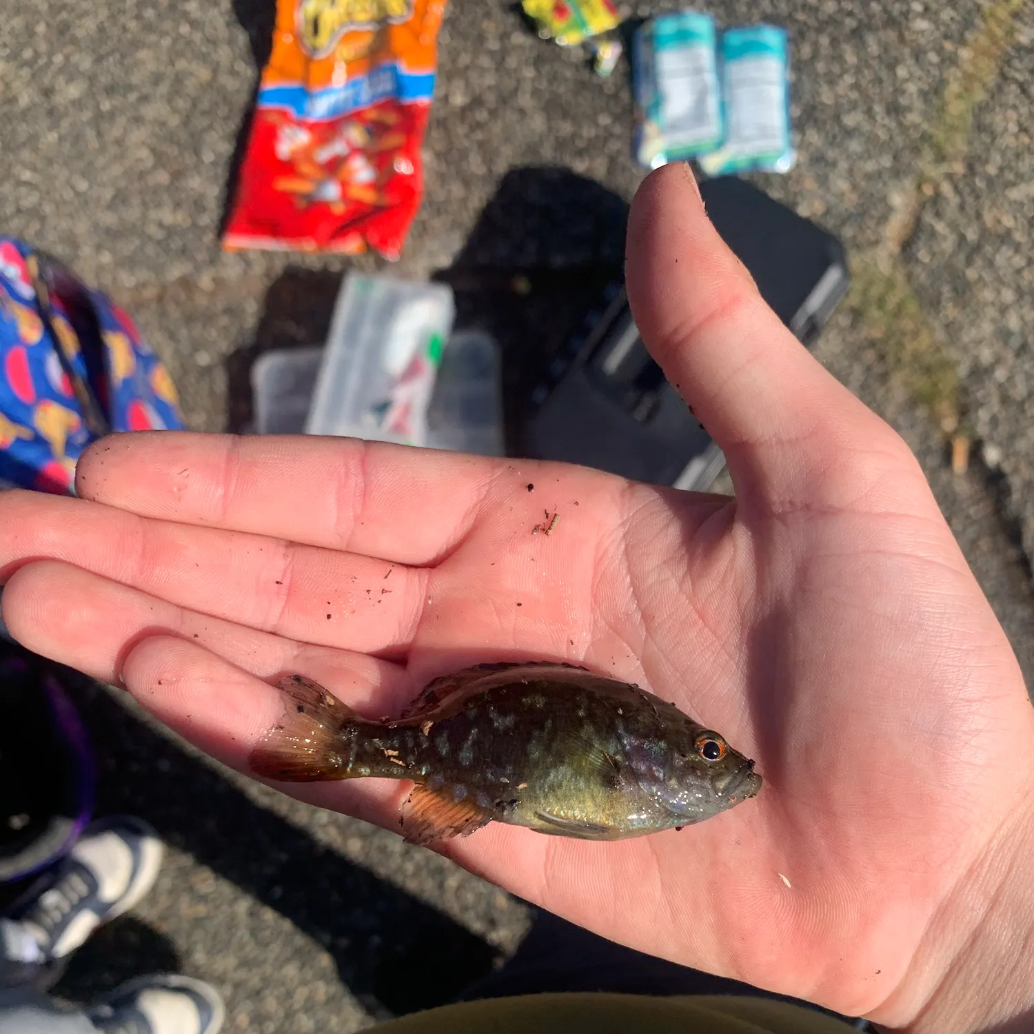 catch