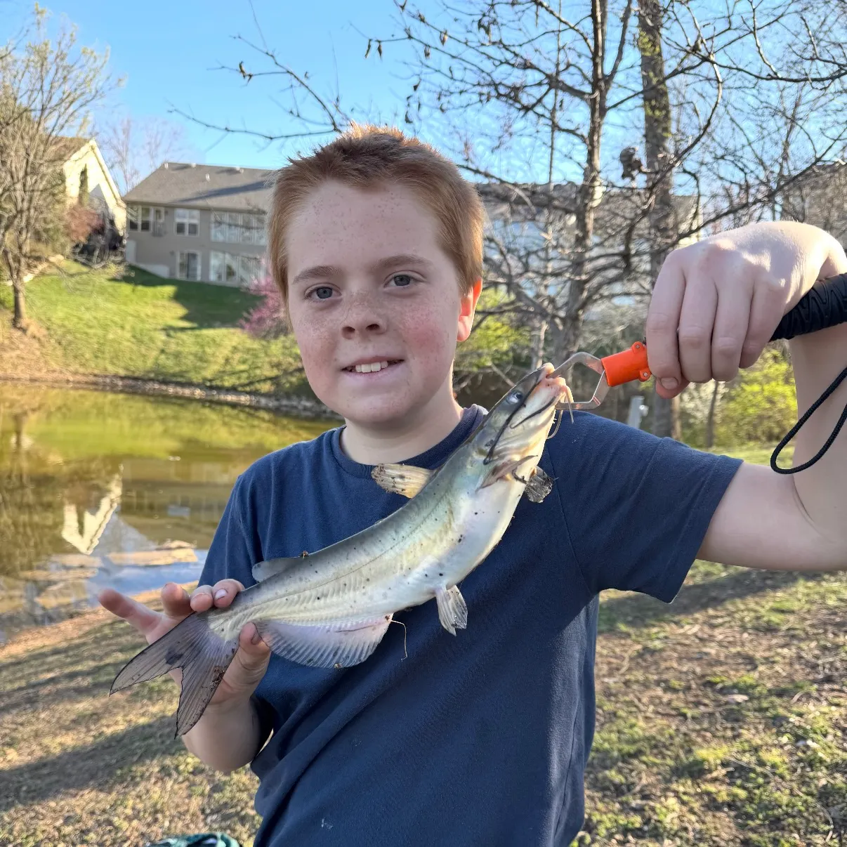 Channel catfish caught on Fishbrain