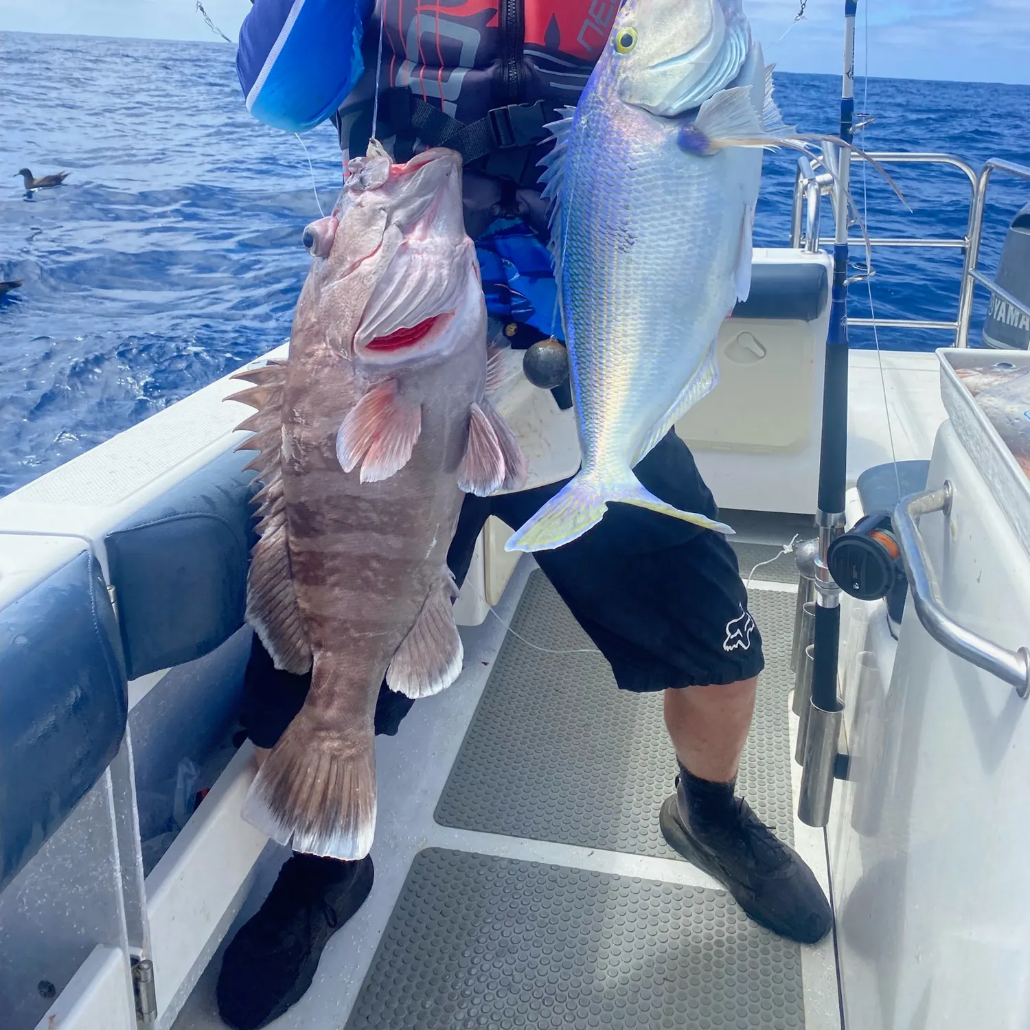 The most recent Sea carp catches on Fishbrain