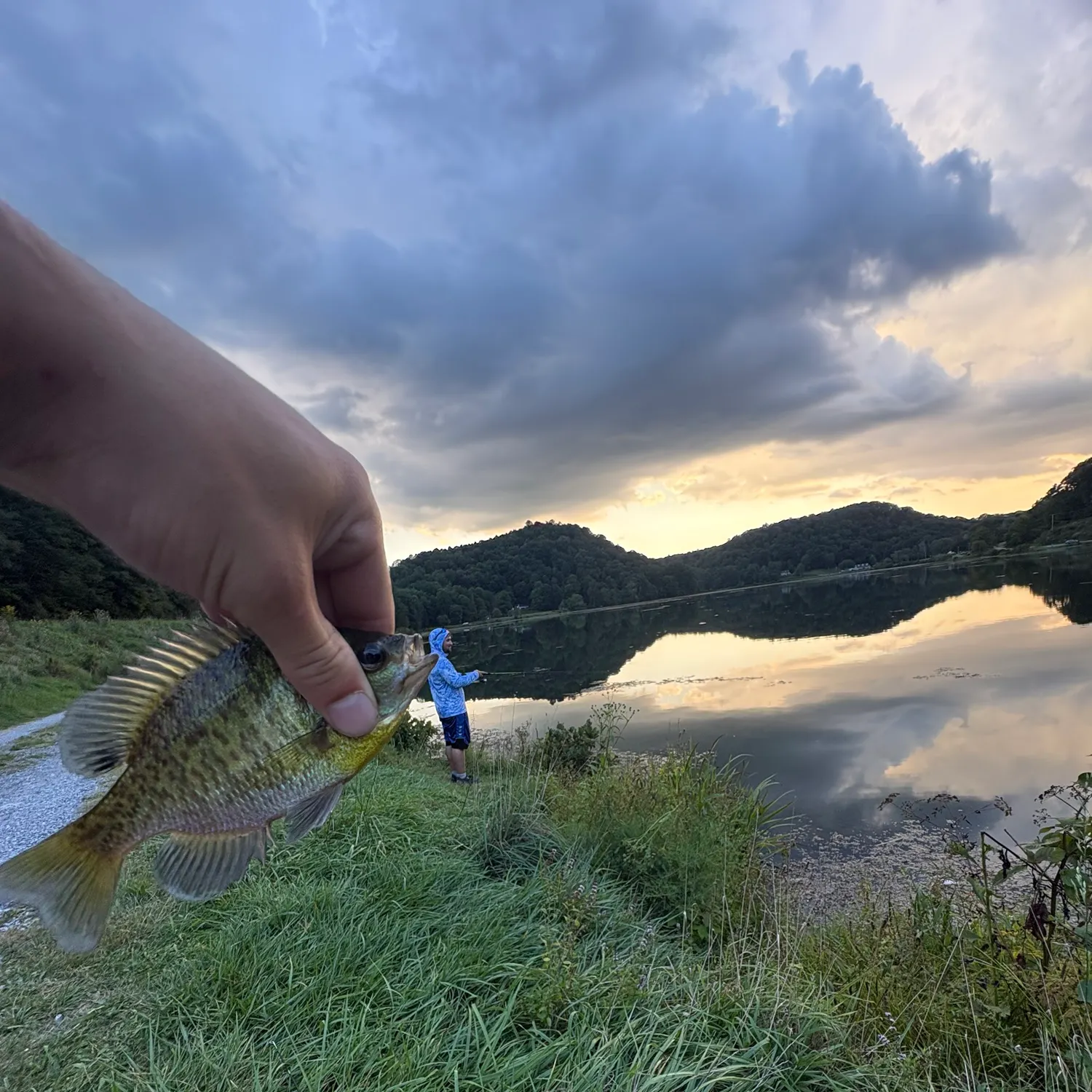 Black crappie caught on Fishbrain