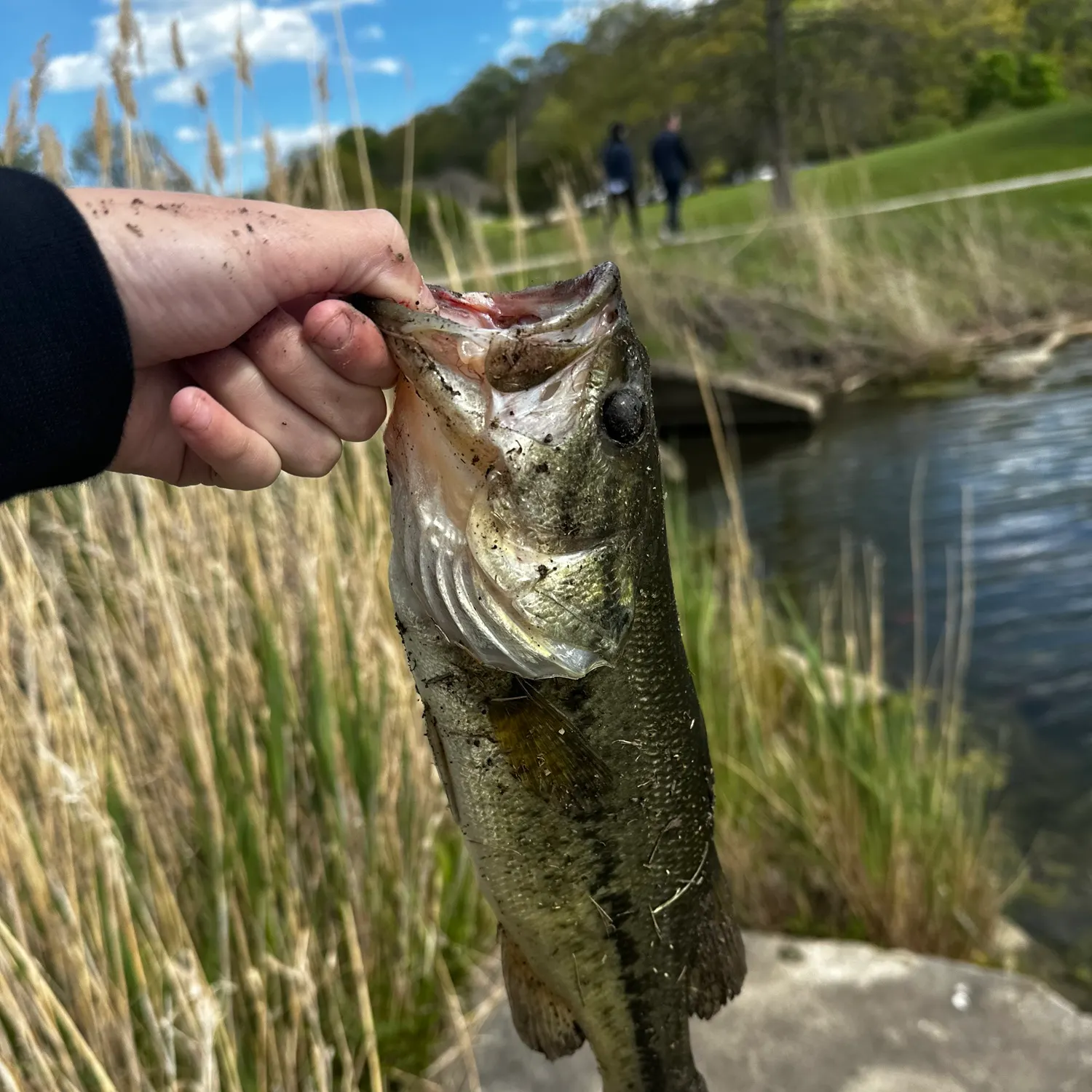 catch