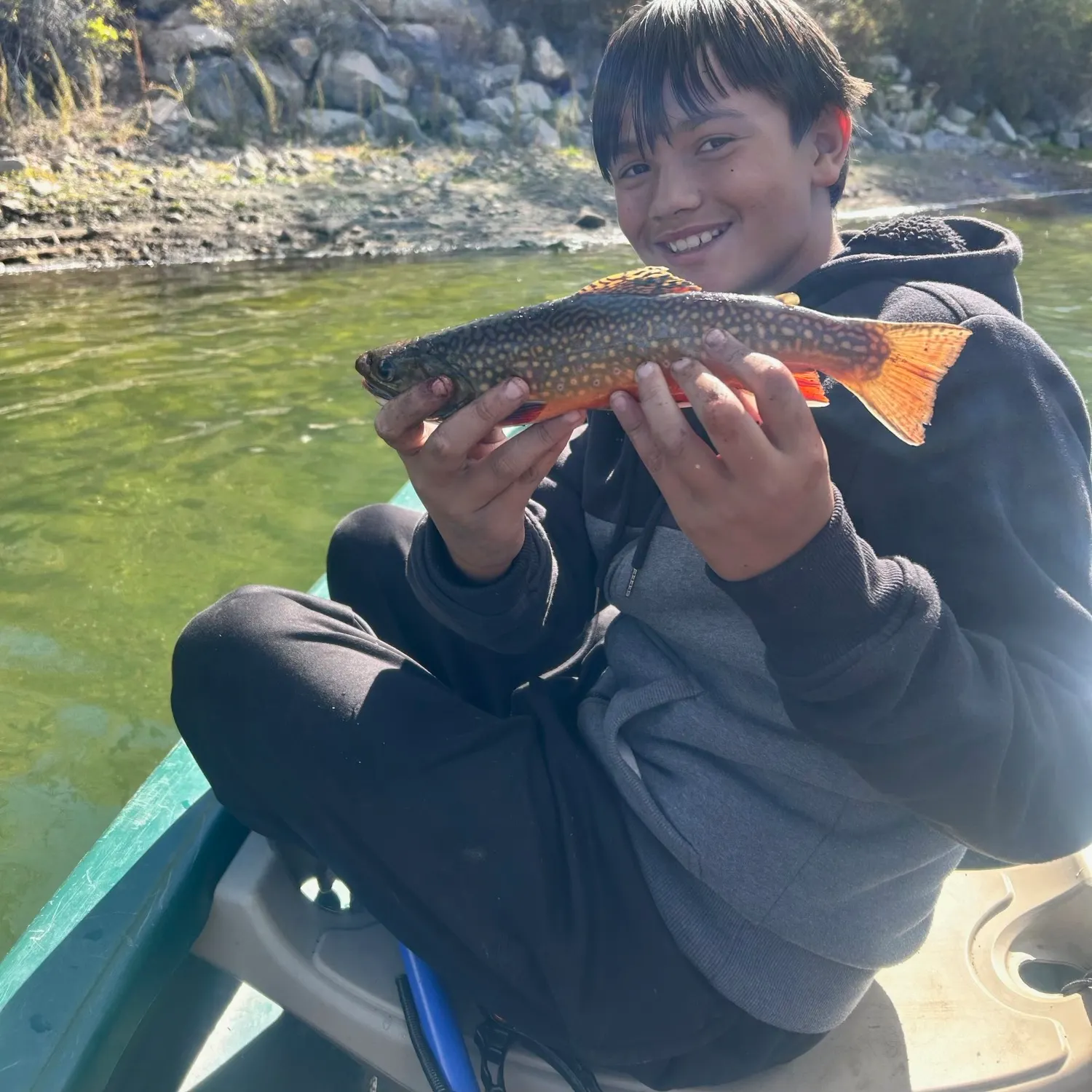 Brook trout caught on Fishbrain