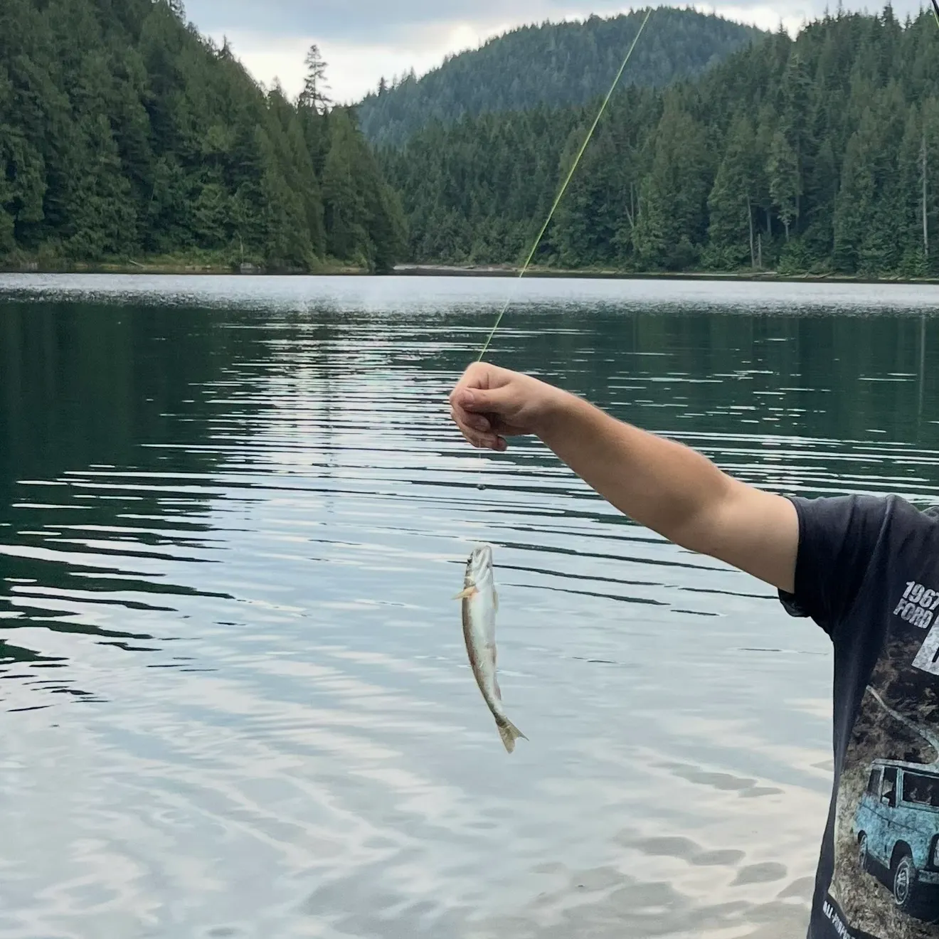 Rainbow trout caught on Fishbrain