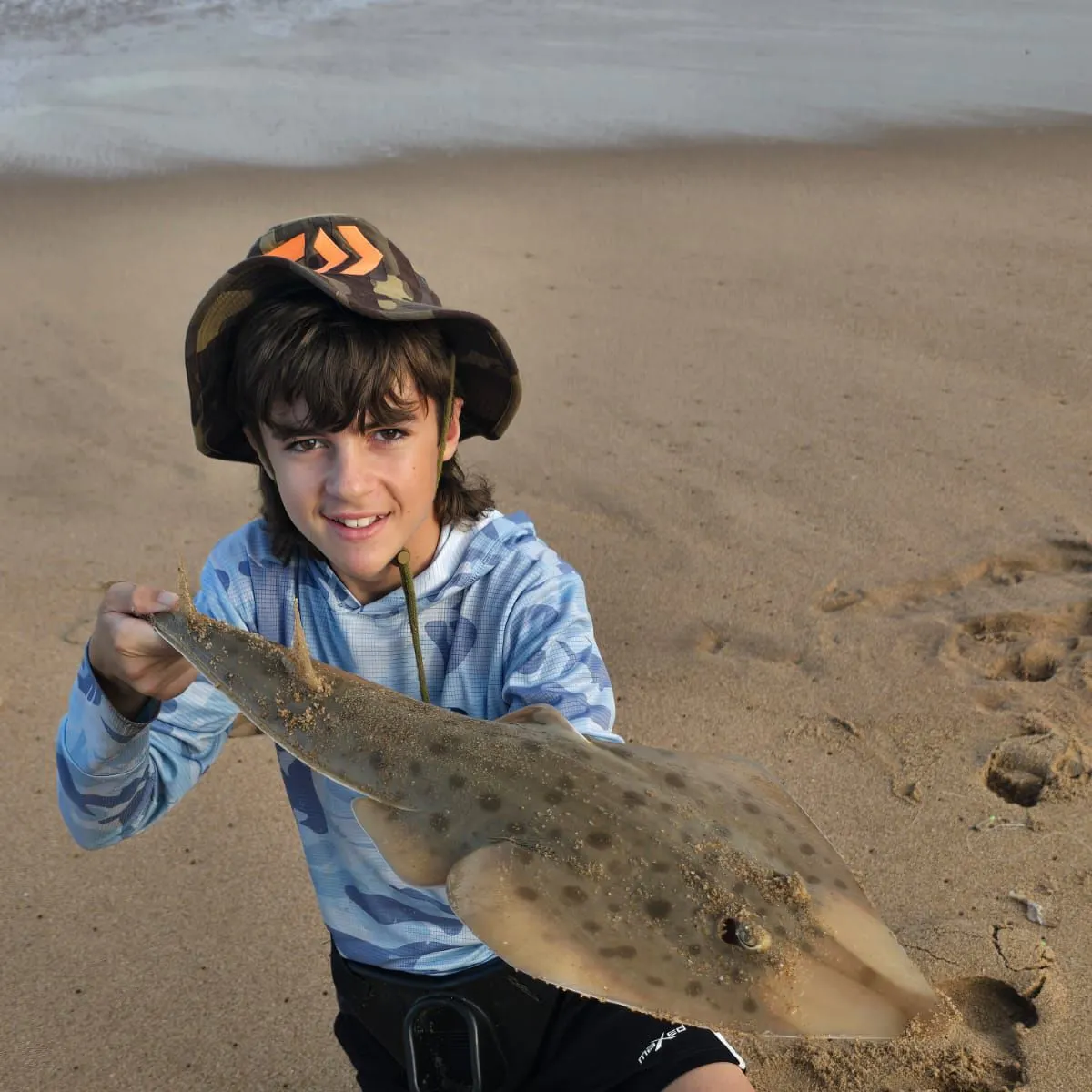 The most recent Lesser sandshark catches on Fishbrain