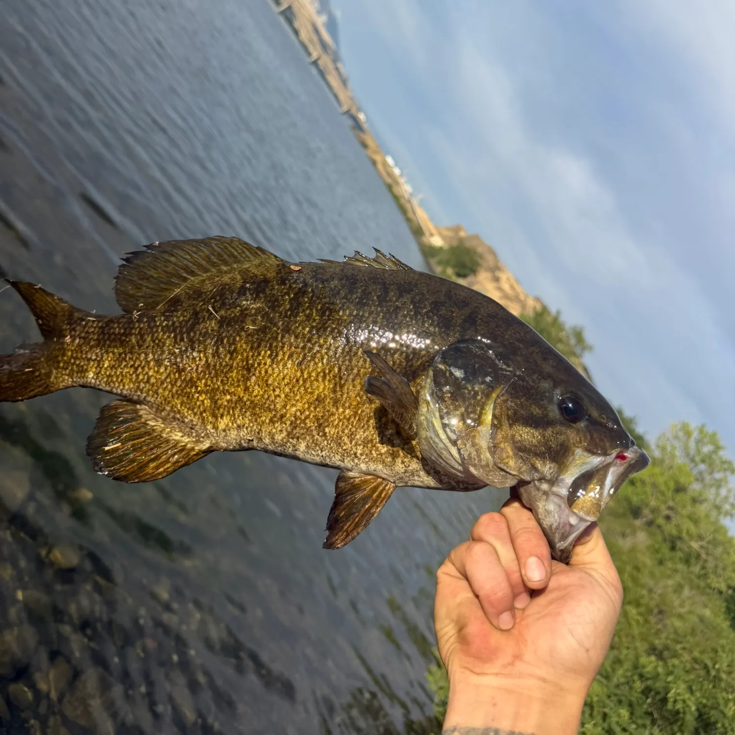 catch