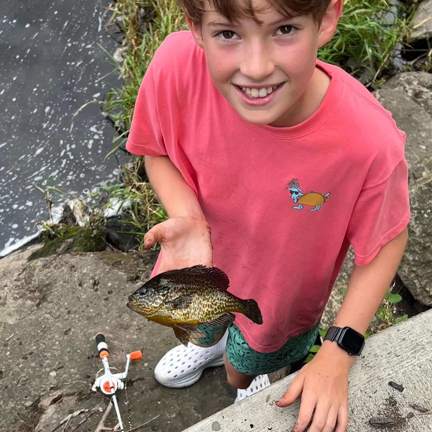 Bluegill caught on Fishbrain