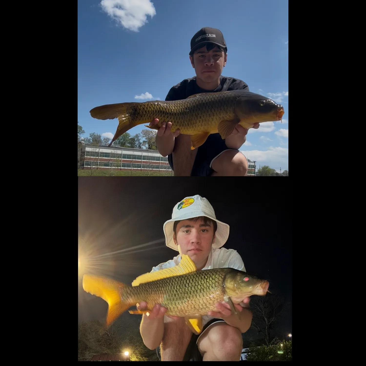 recently logged catches