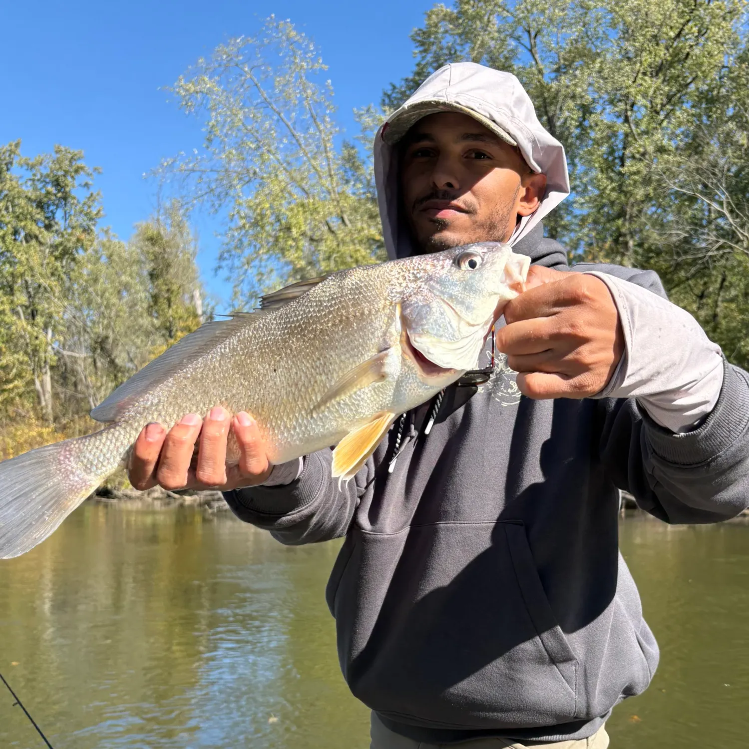 Freshwater drum caught on Fishbrain