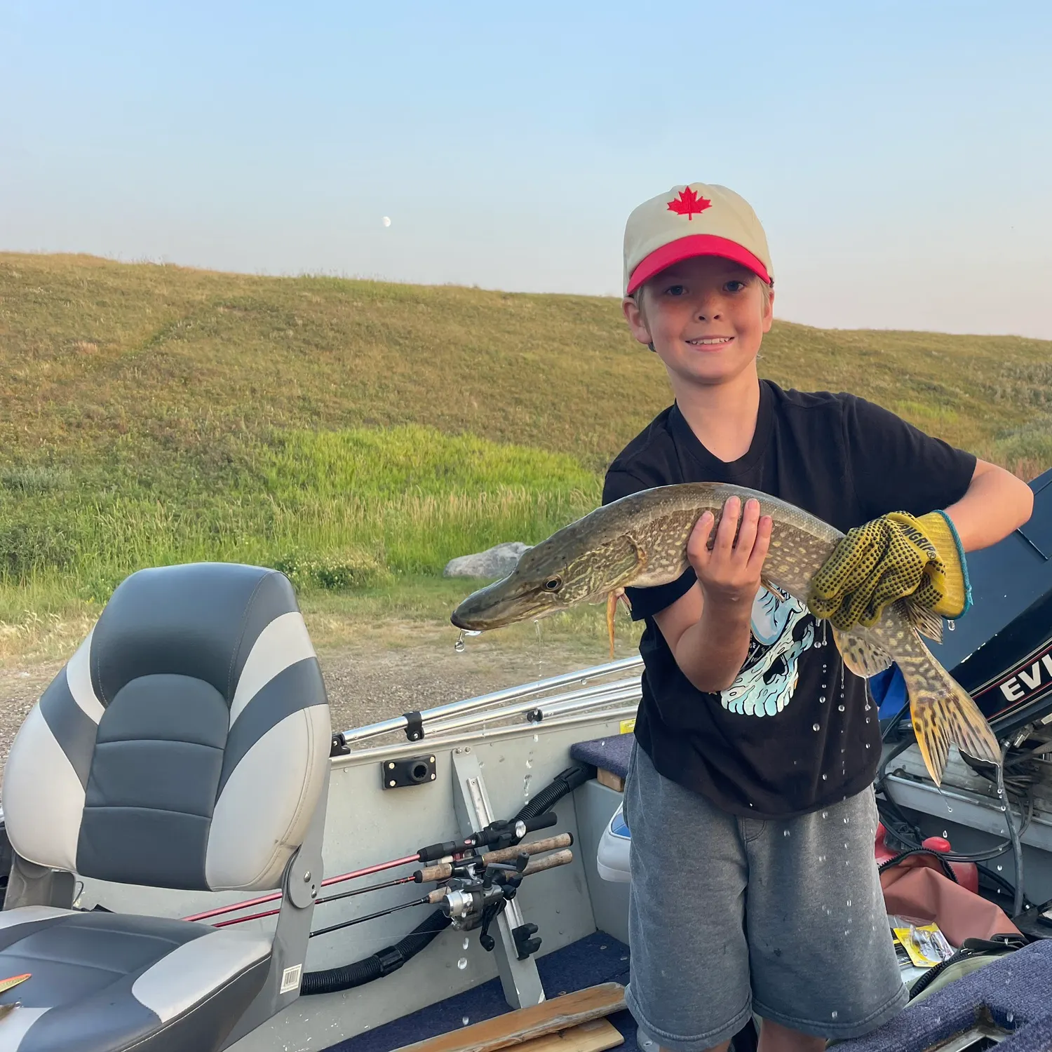 Northern pike caught on Fishbrain