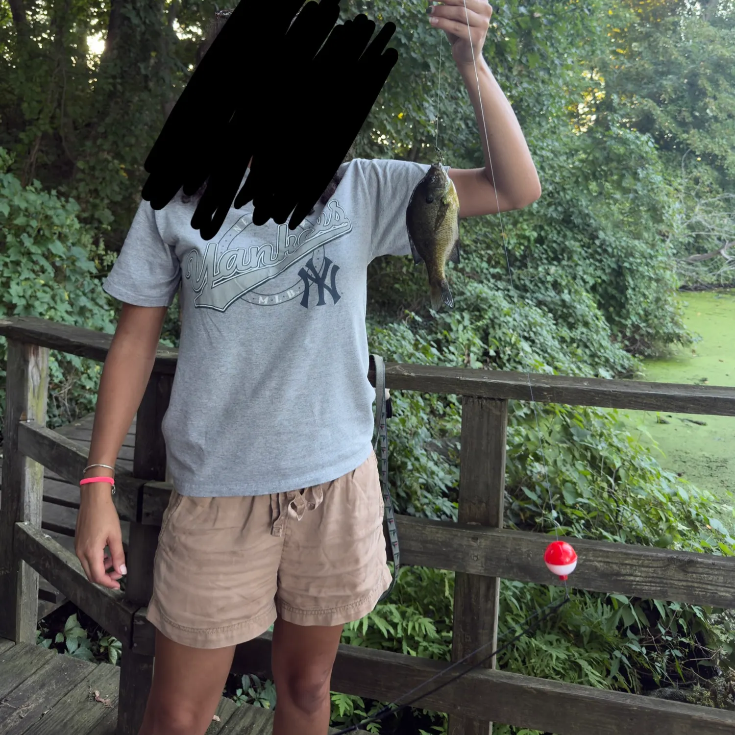 Bluegill caught on Fishbrain