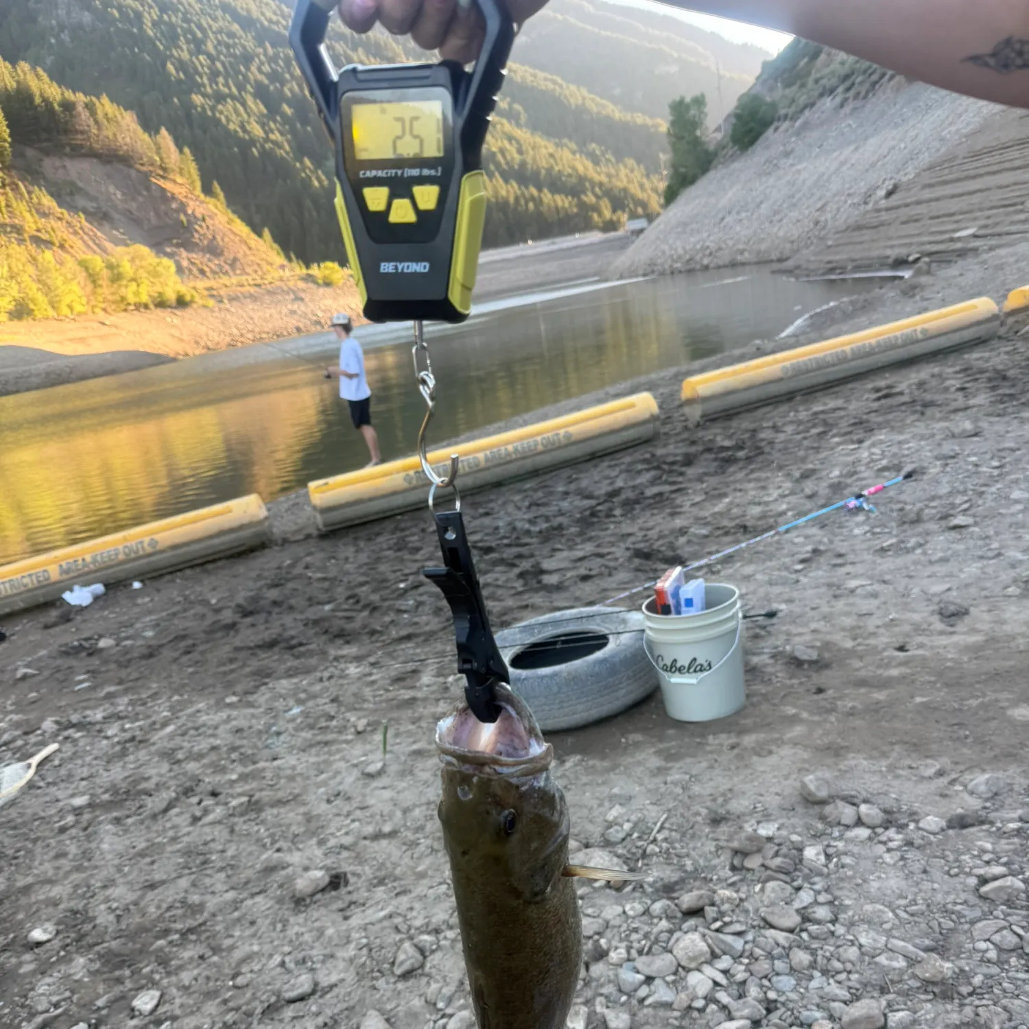 Smallmouth bass caught on Fishbrain