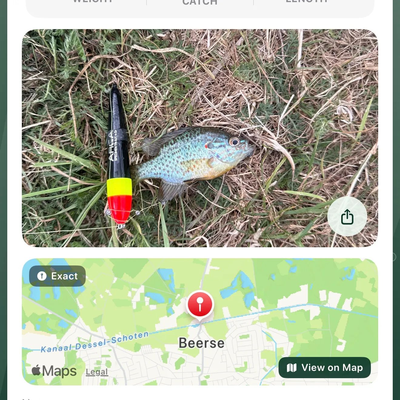 recently logged catches