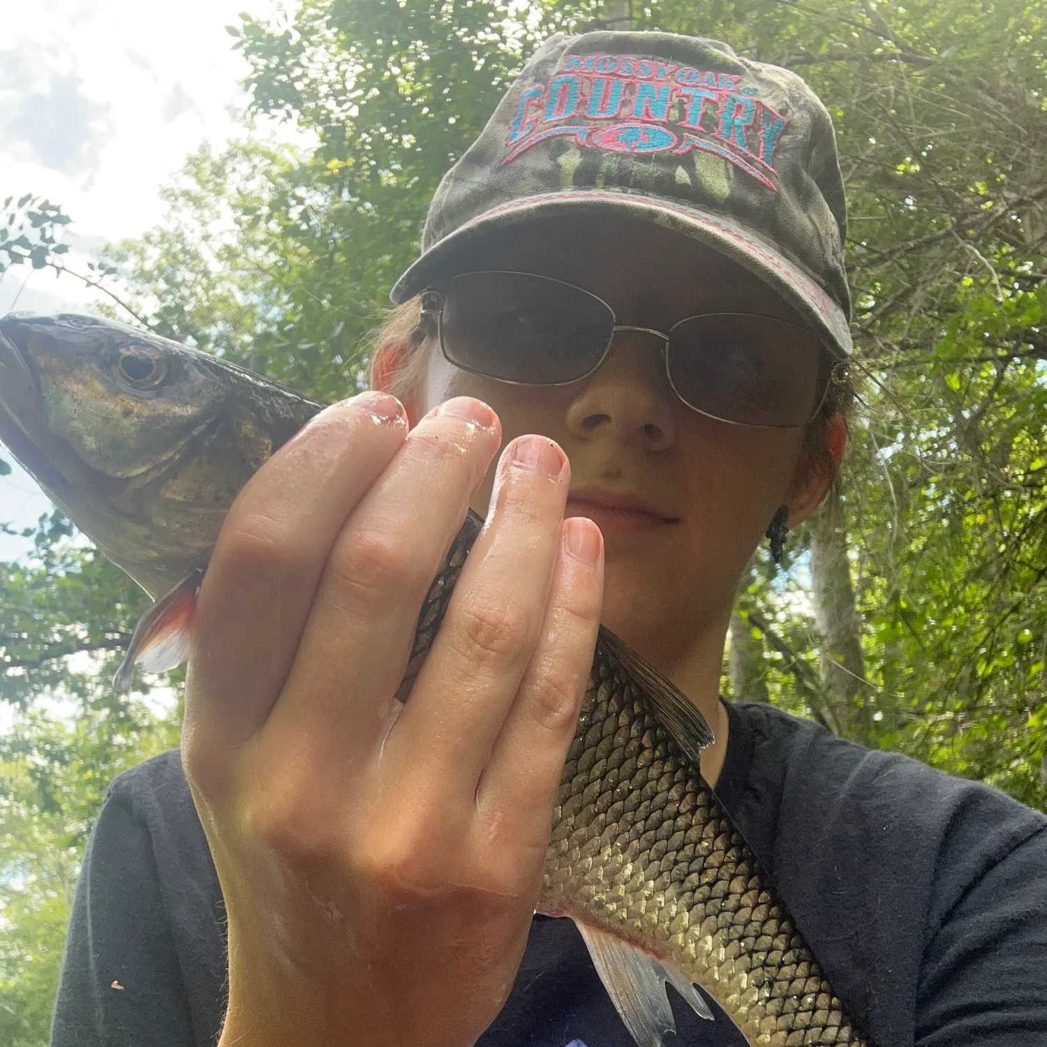 Fallfish caught on Fishbrain