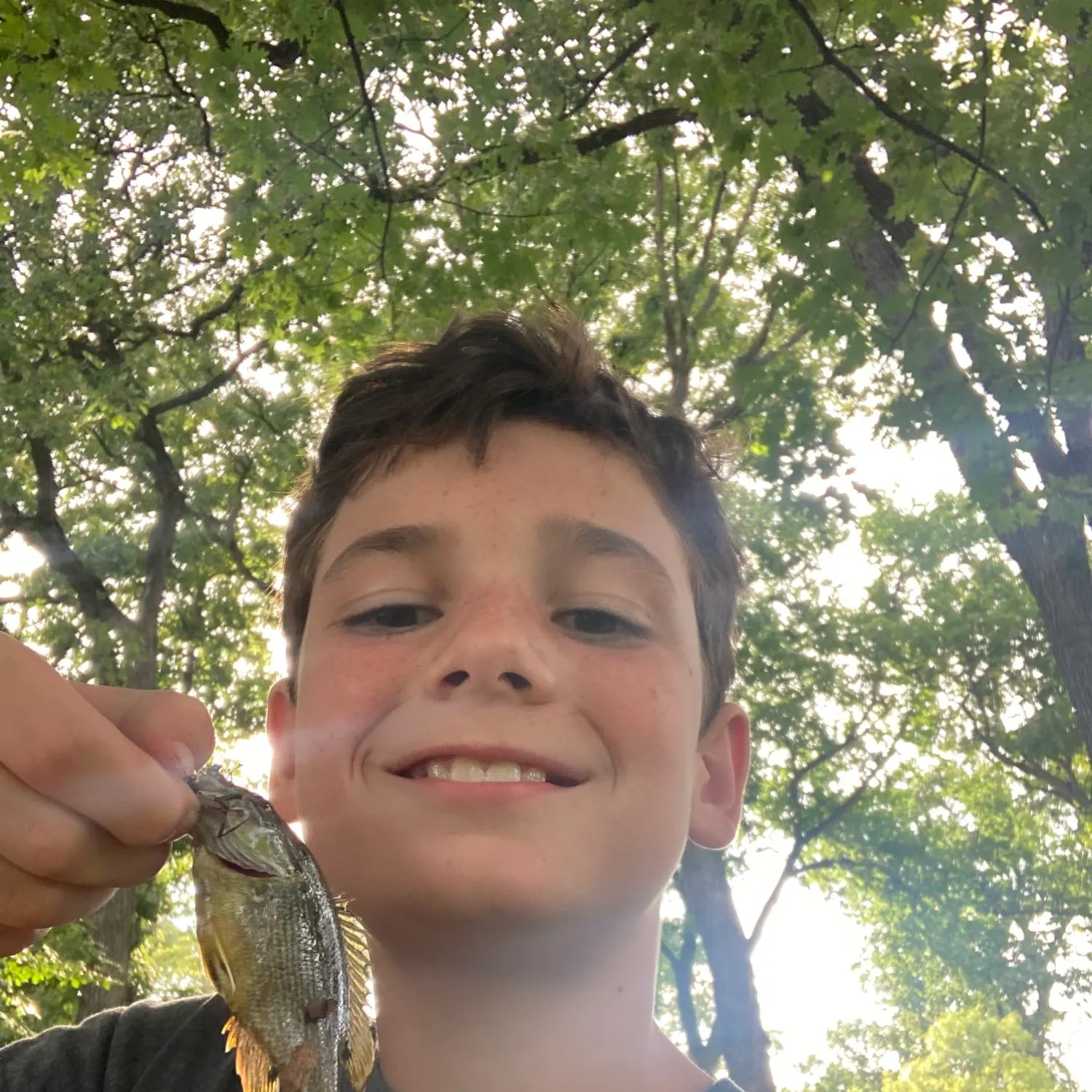 angler catch