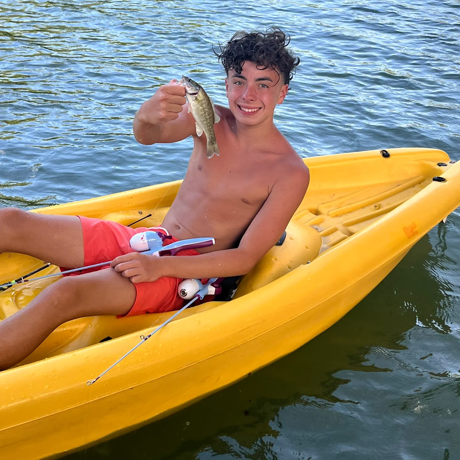 The most recent Guadalupe bass catches on Fishbrain