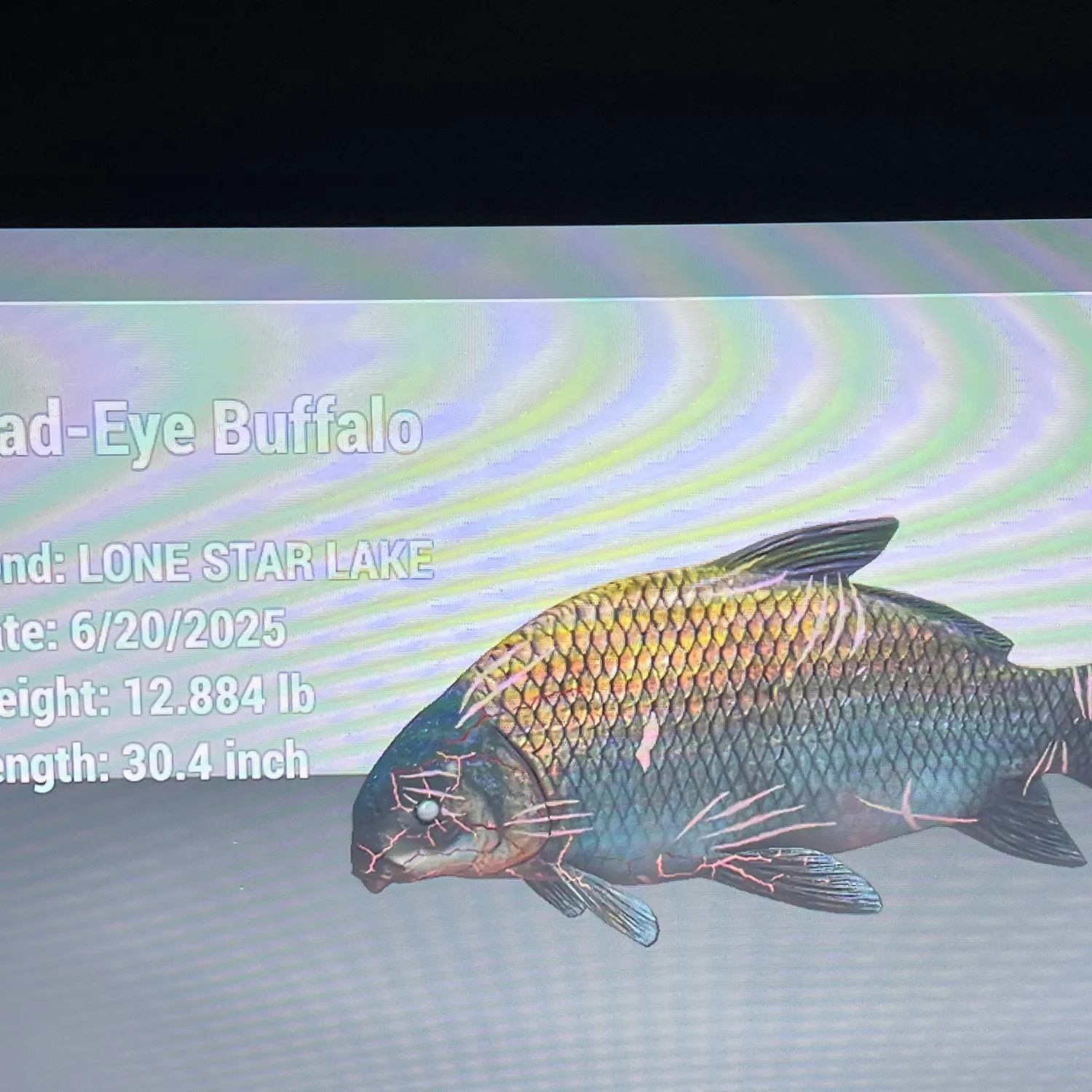 recently logged catches