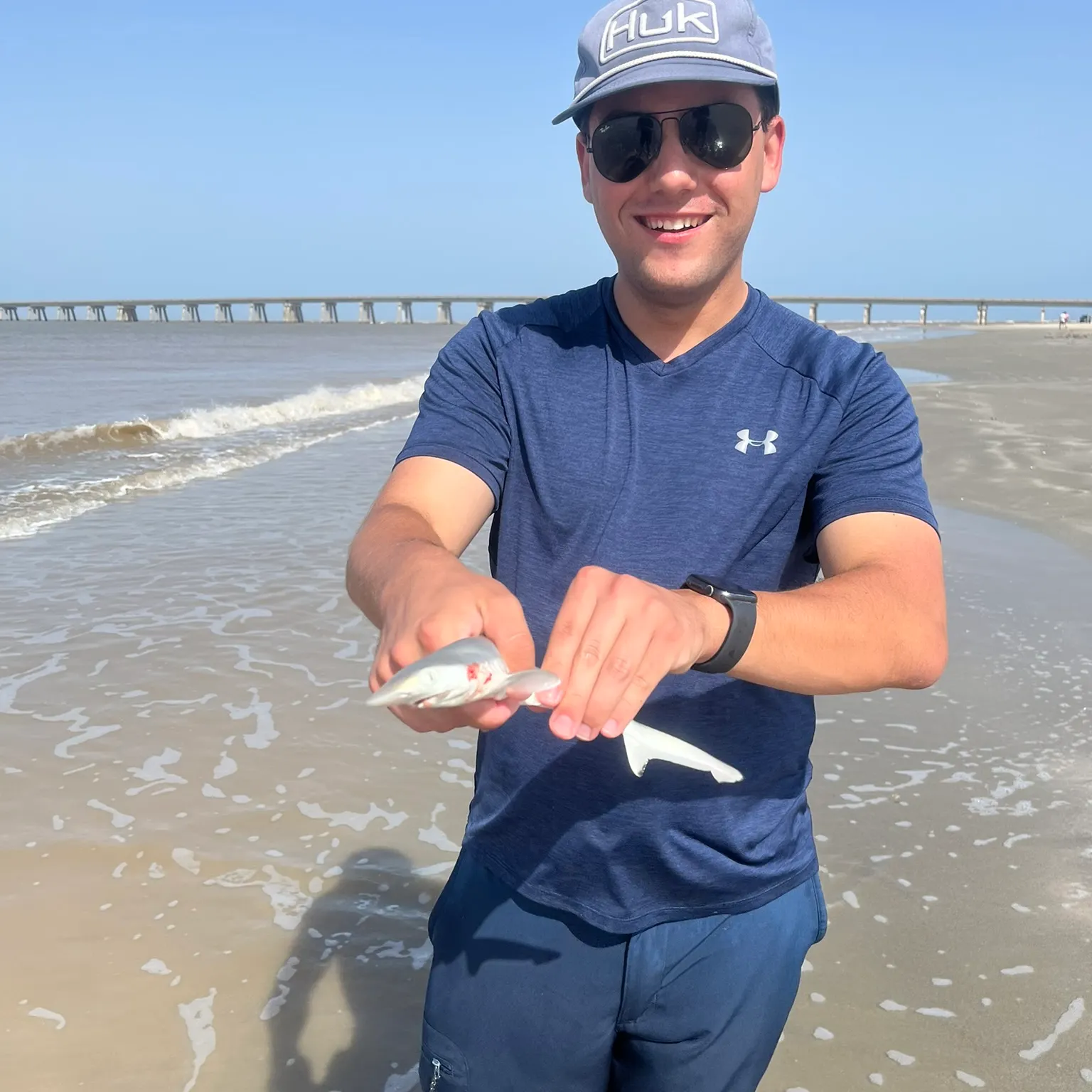 The most recent Blacktip shark catches on Fishbrain