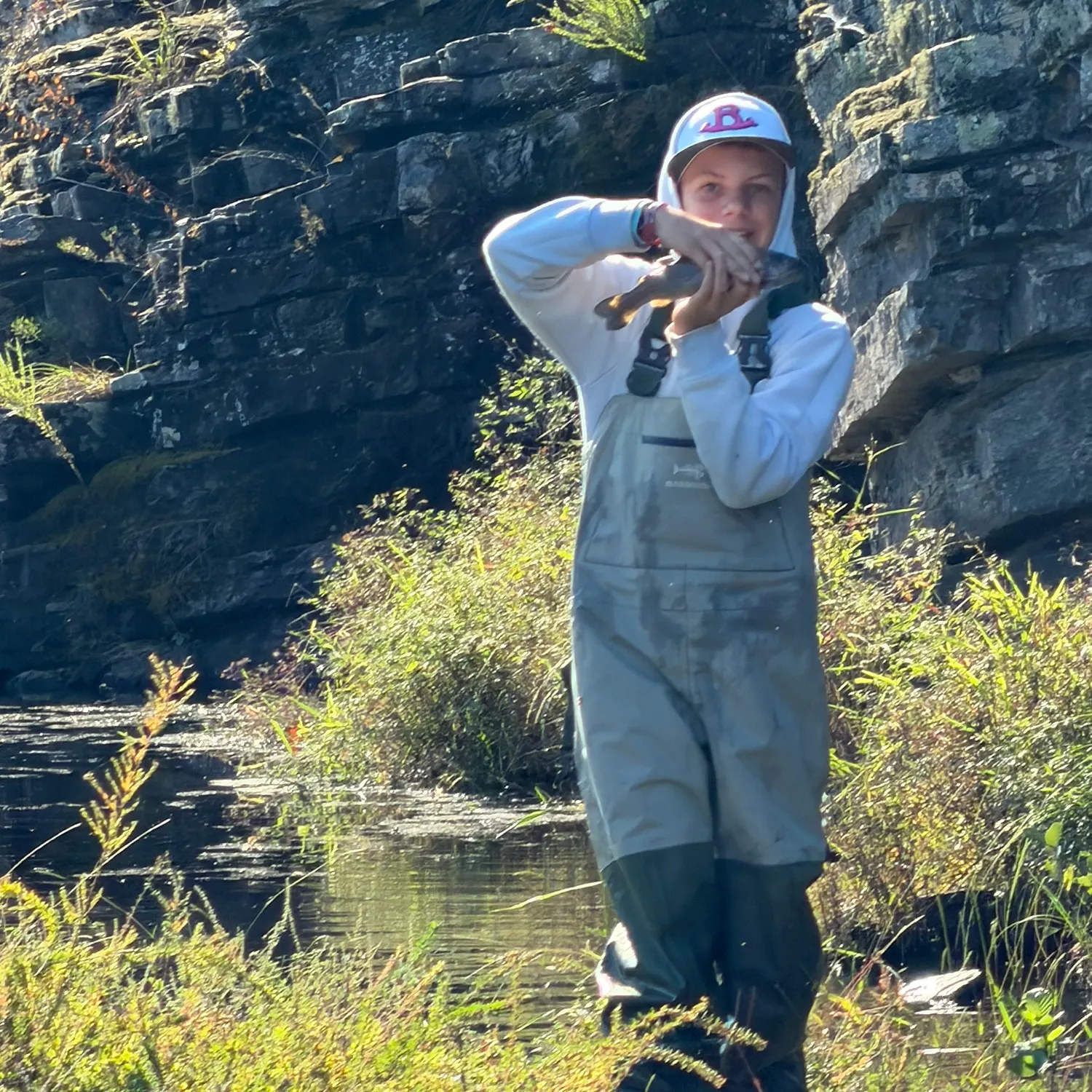 Rainbow trout caught on Fishbrain