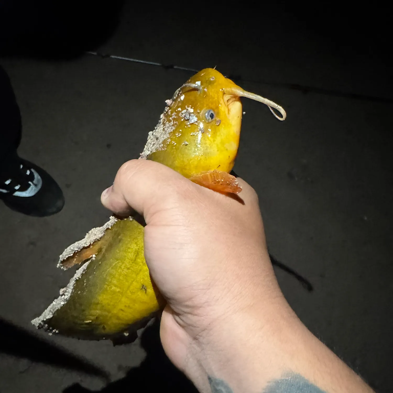 catch