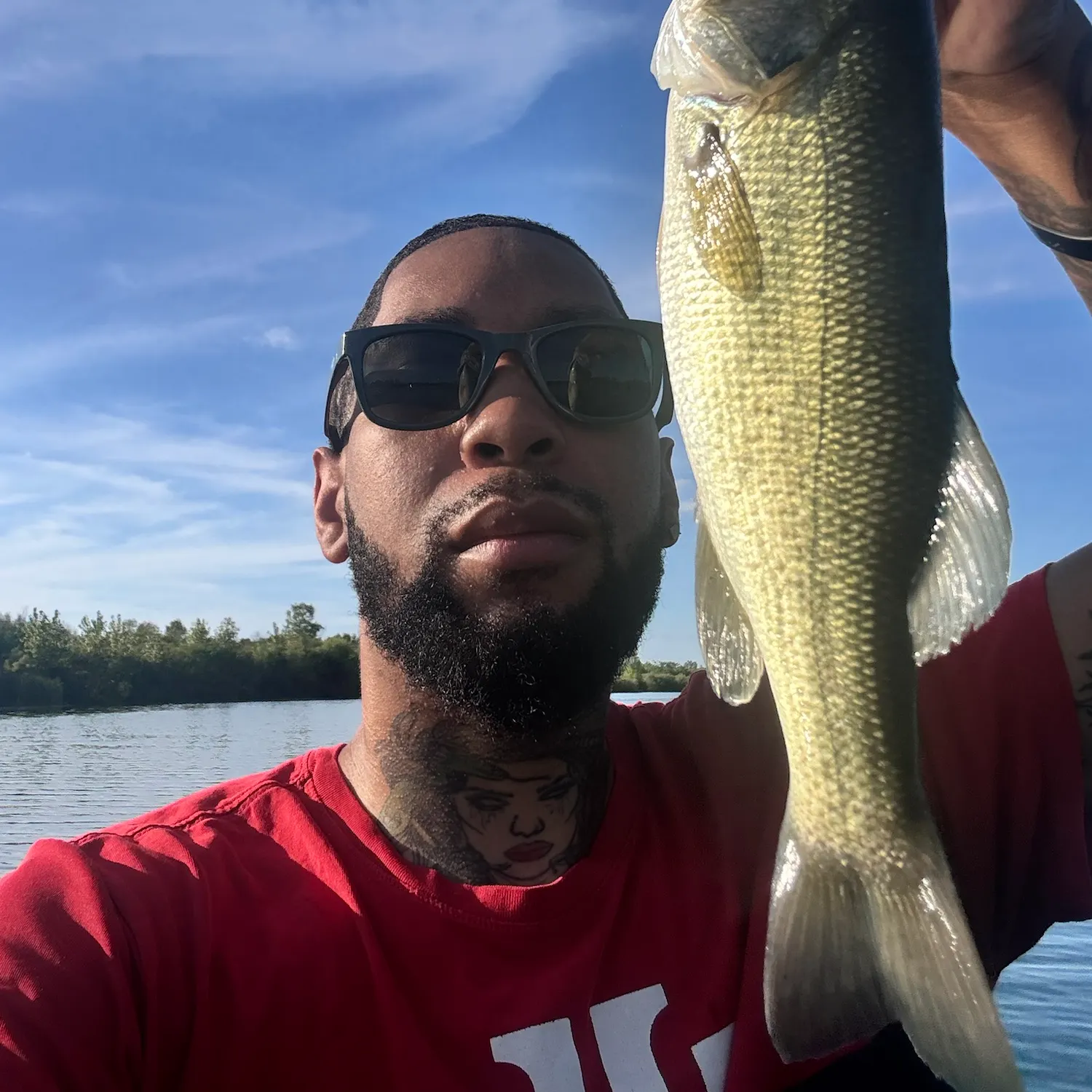 Largemouth bass caught on Fishbrain