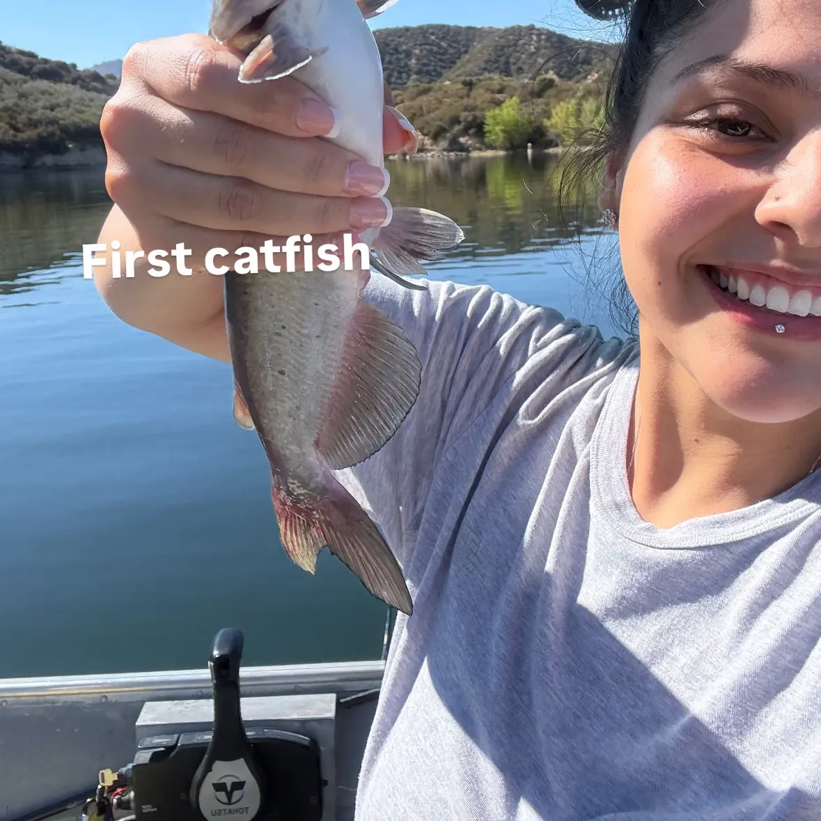 Channel catfish caught on Fishbrain