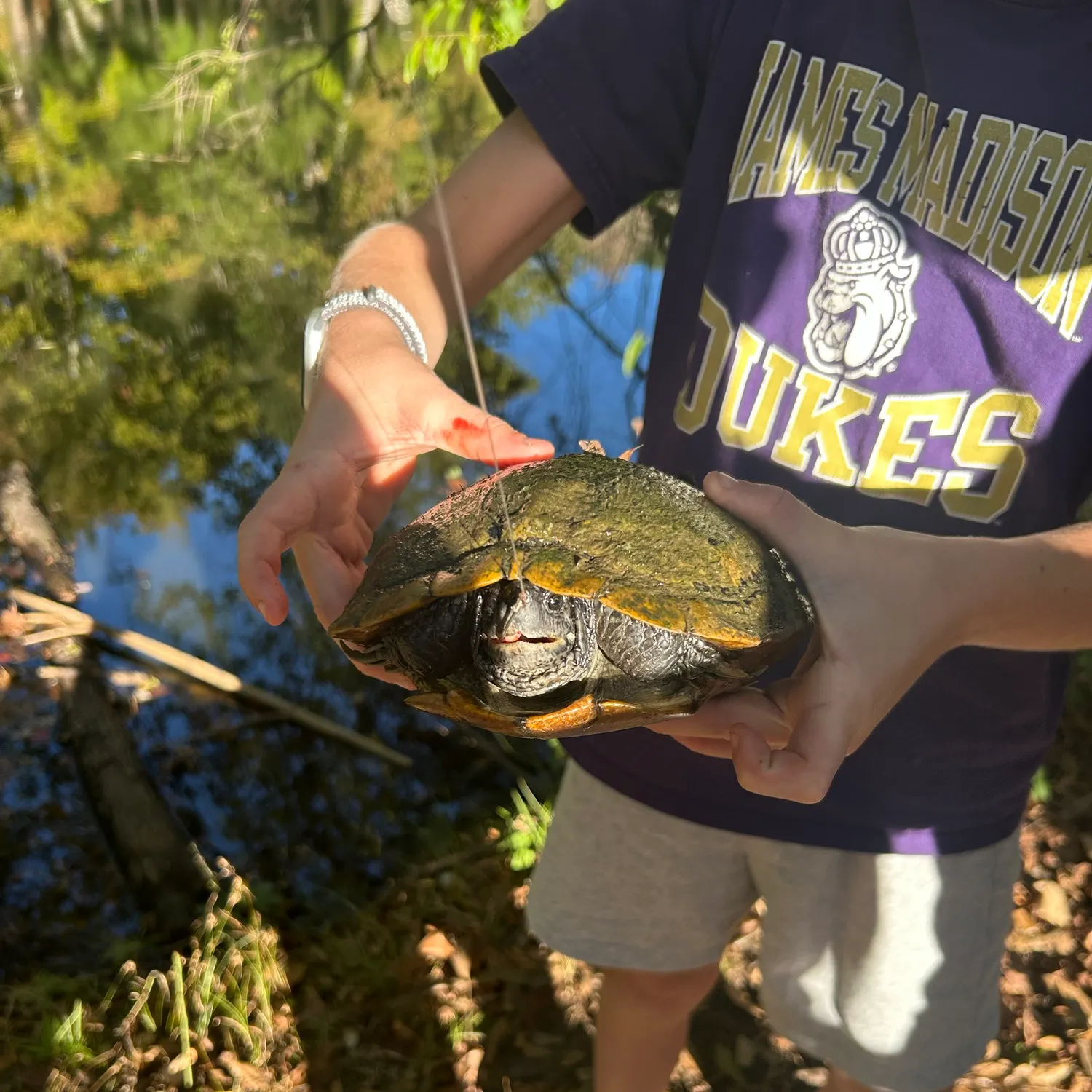 Pond slider turtle caught on Fishbrain