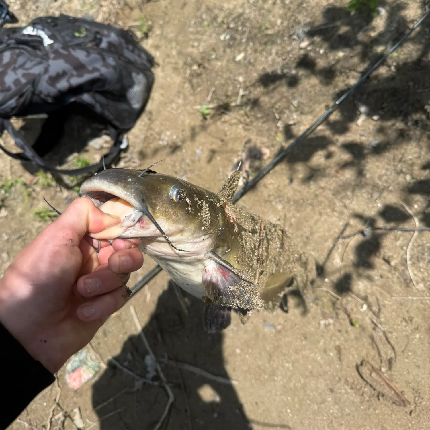 catch