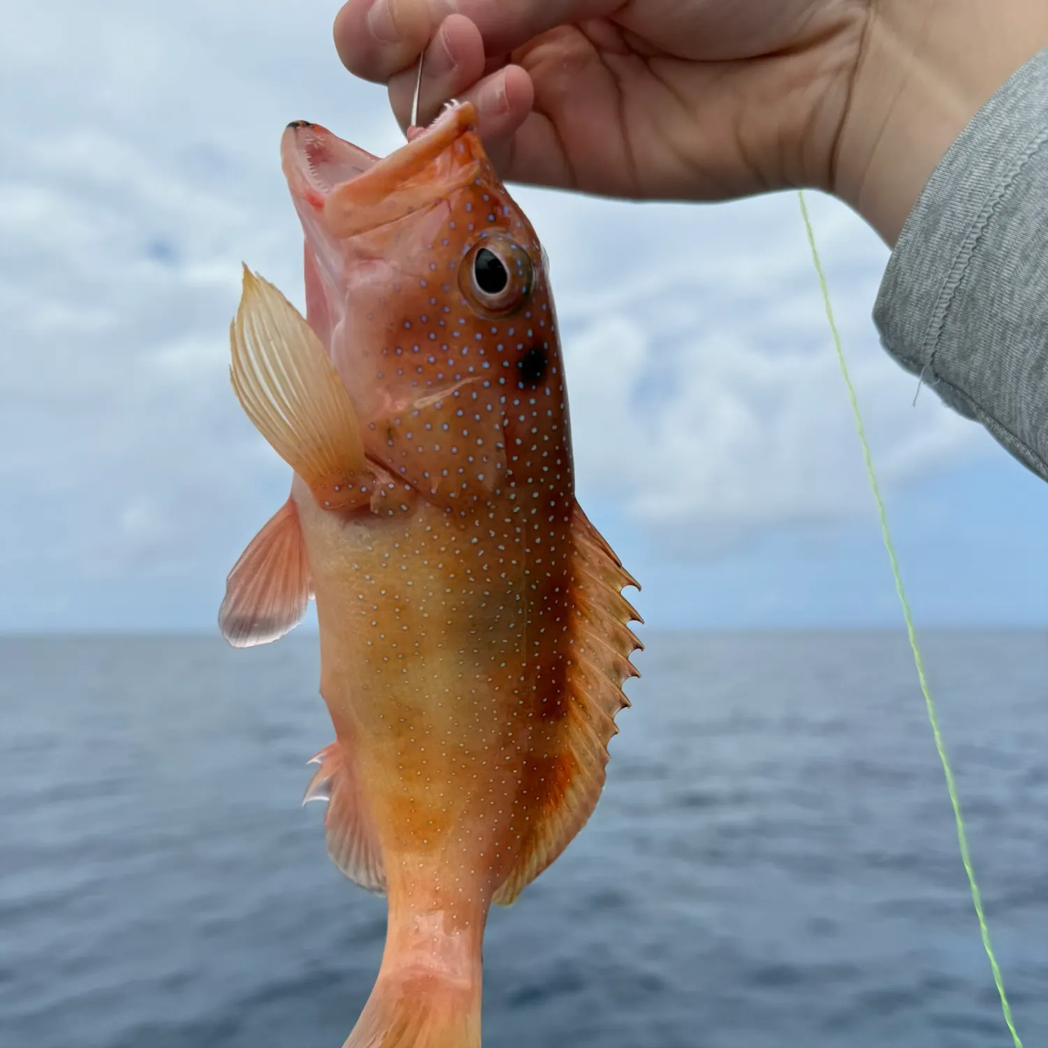 most liked catch image